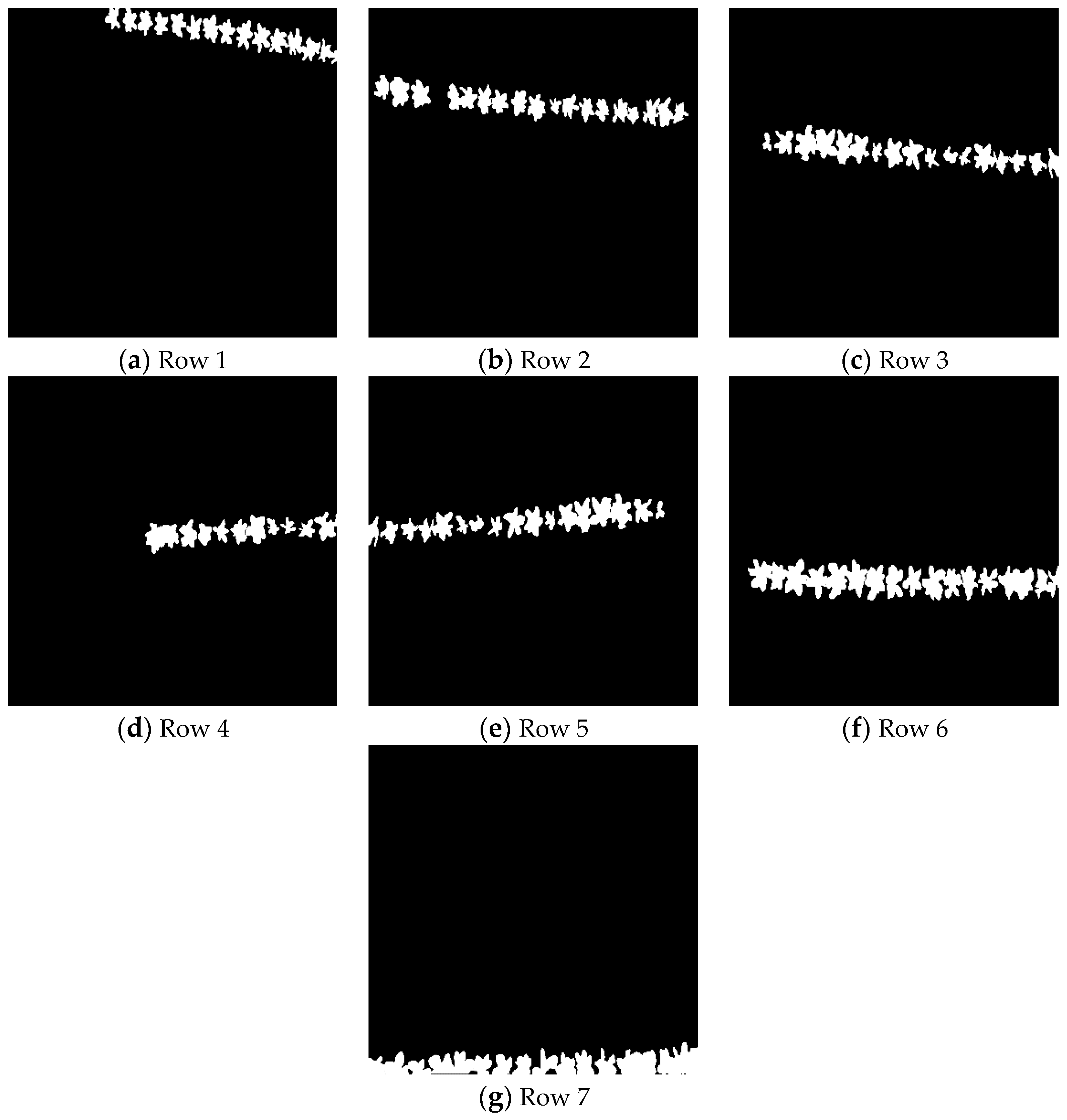 Preprints 114989 g005