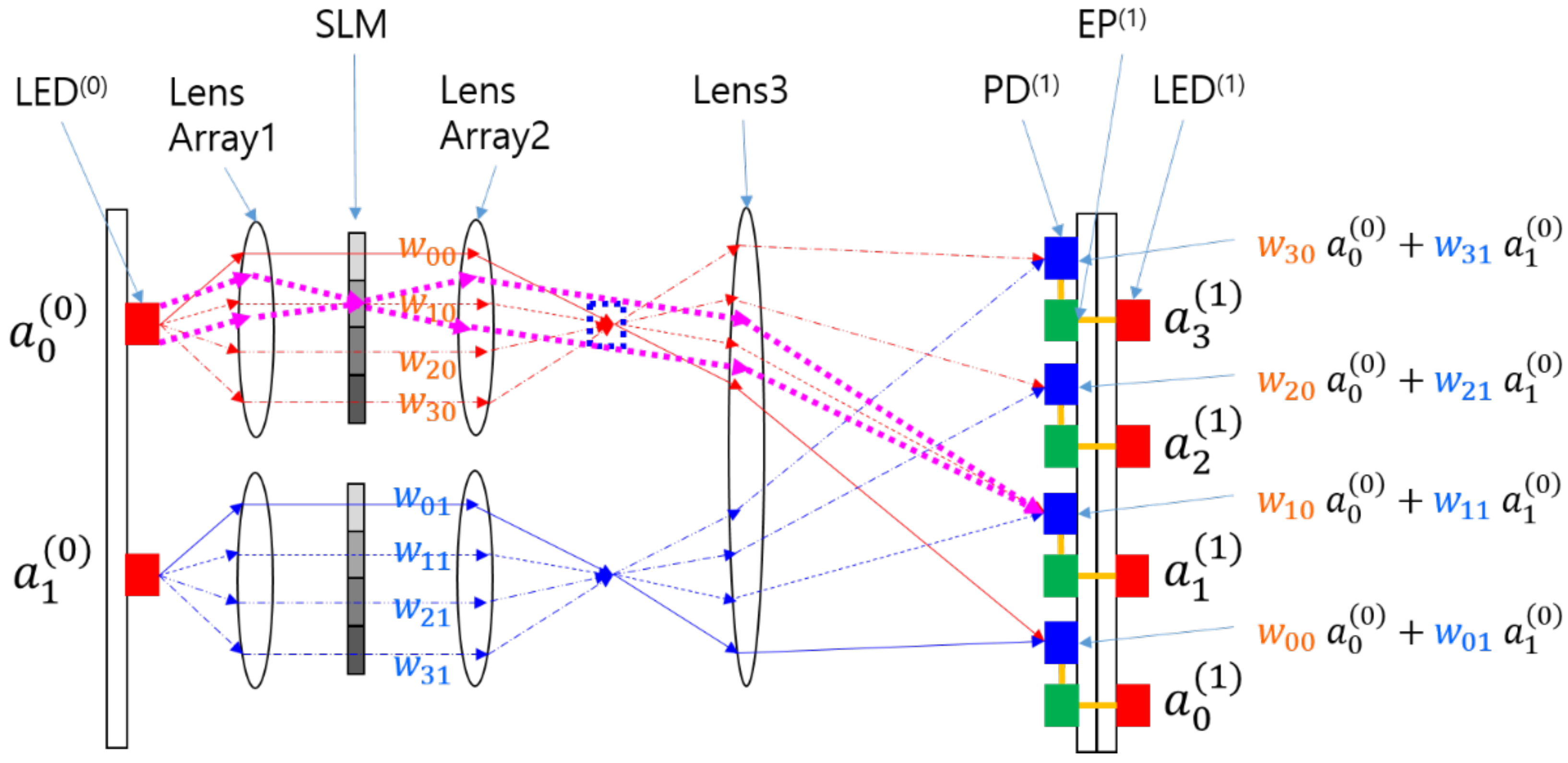 Preprints 116492 g001