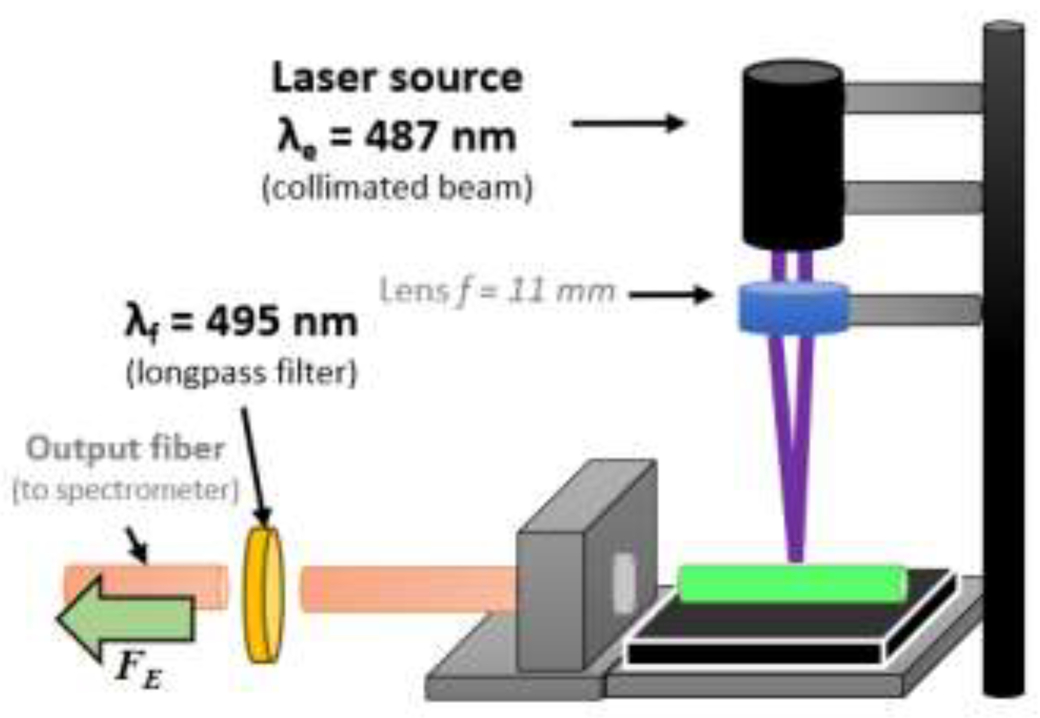 Preprints 119435 g006