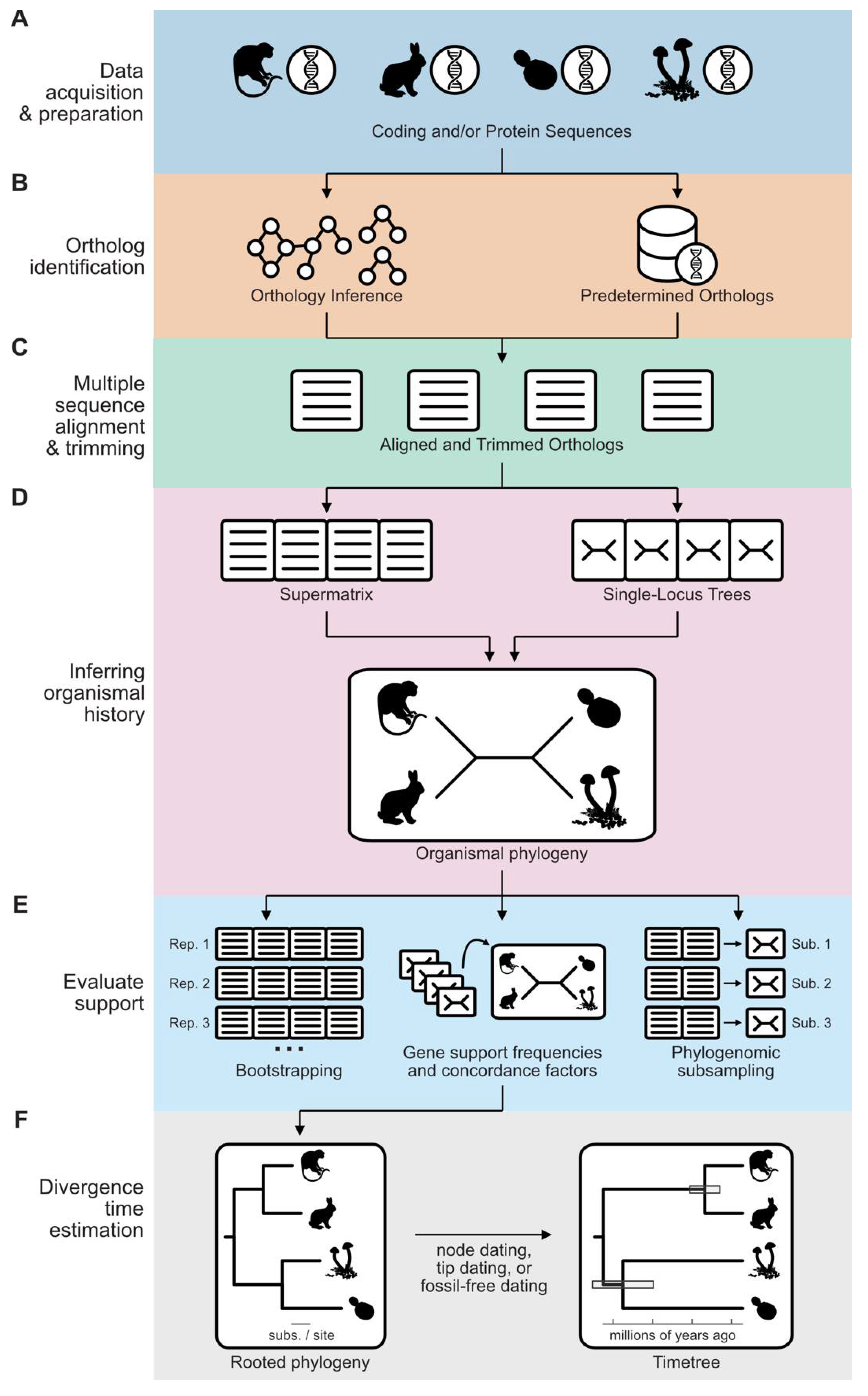 Preprints 106344 g001