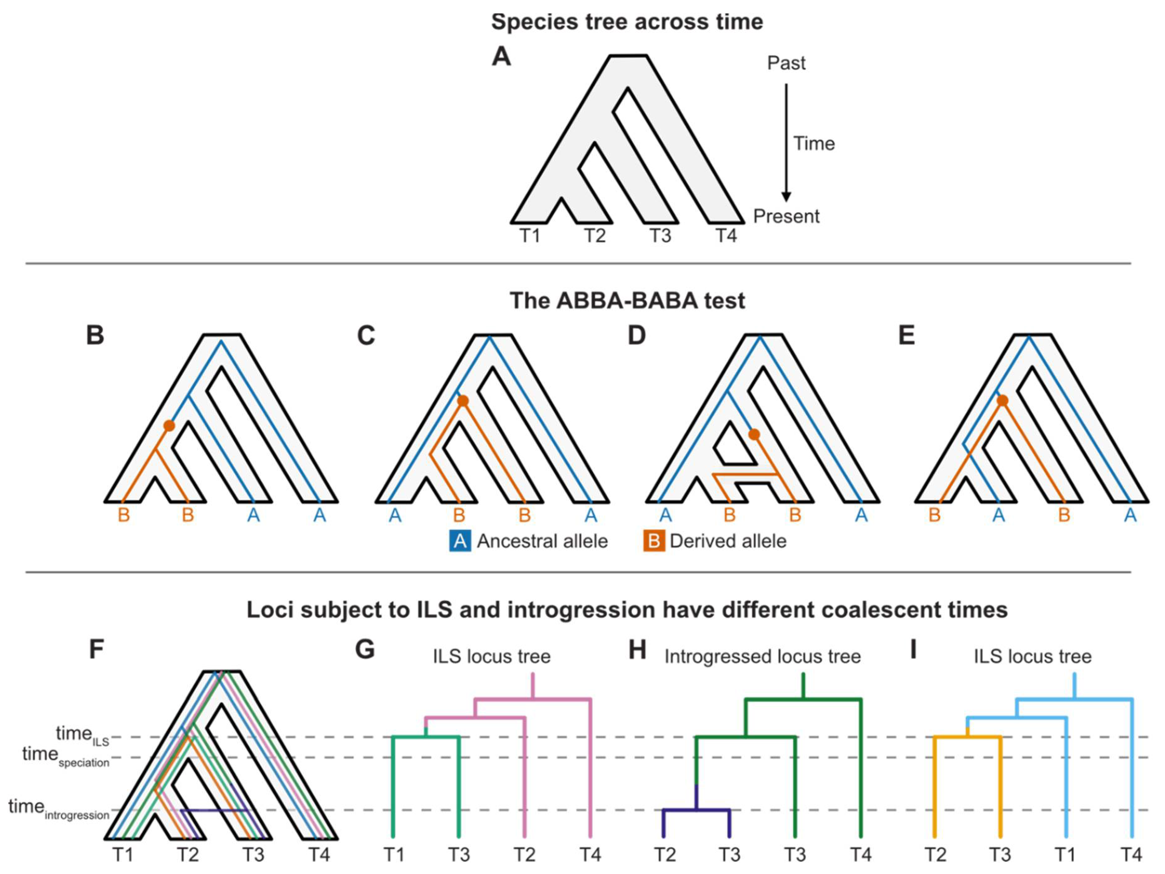 Preprints 106344 g002