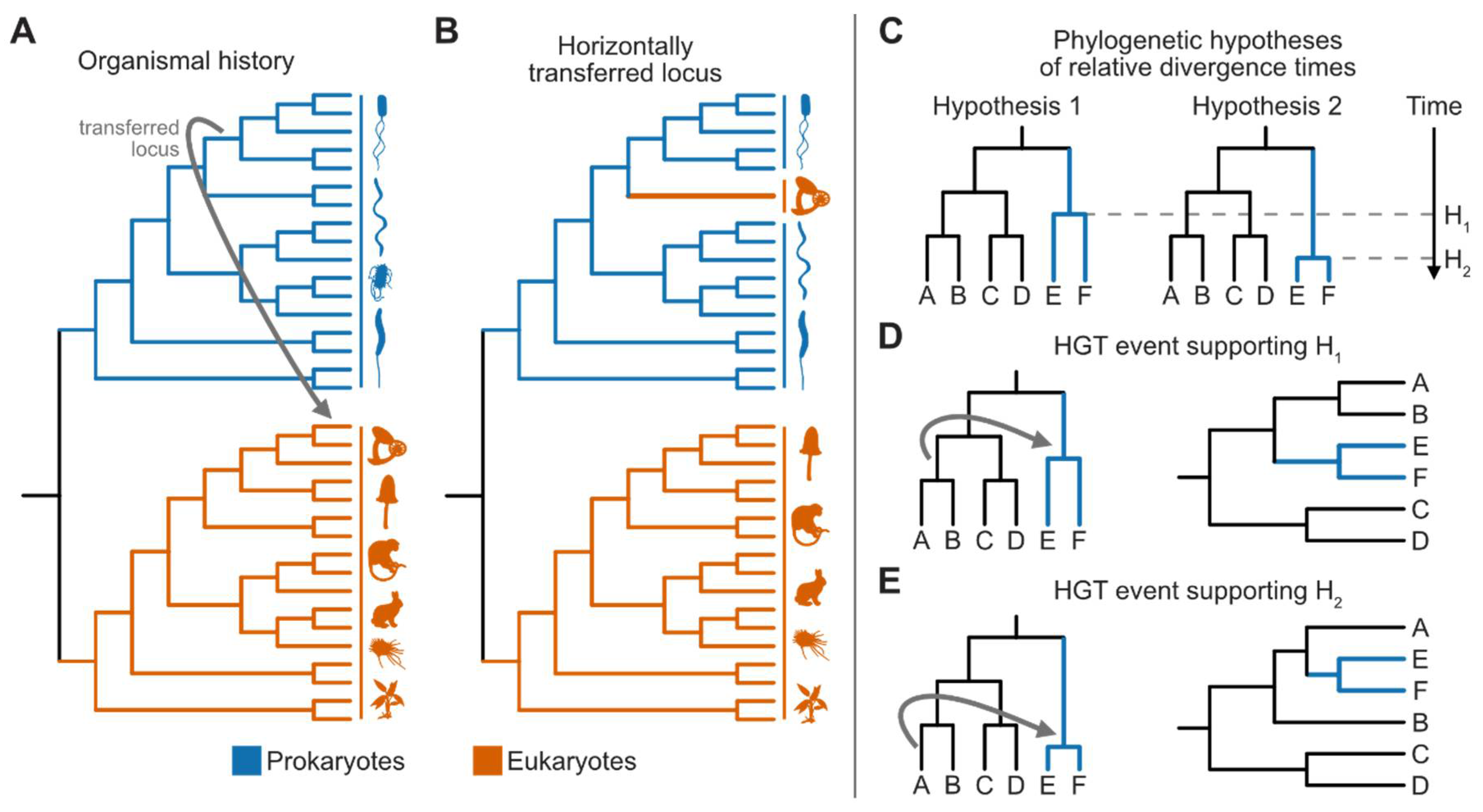 Preprints 106344 g003