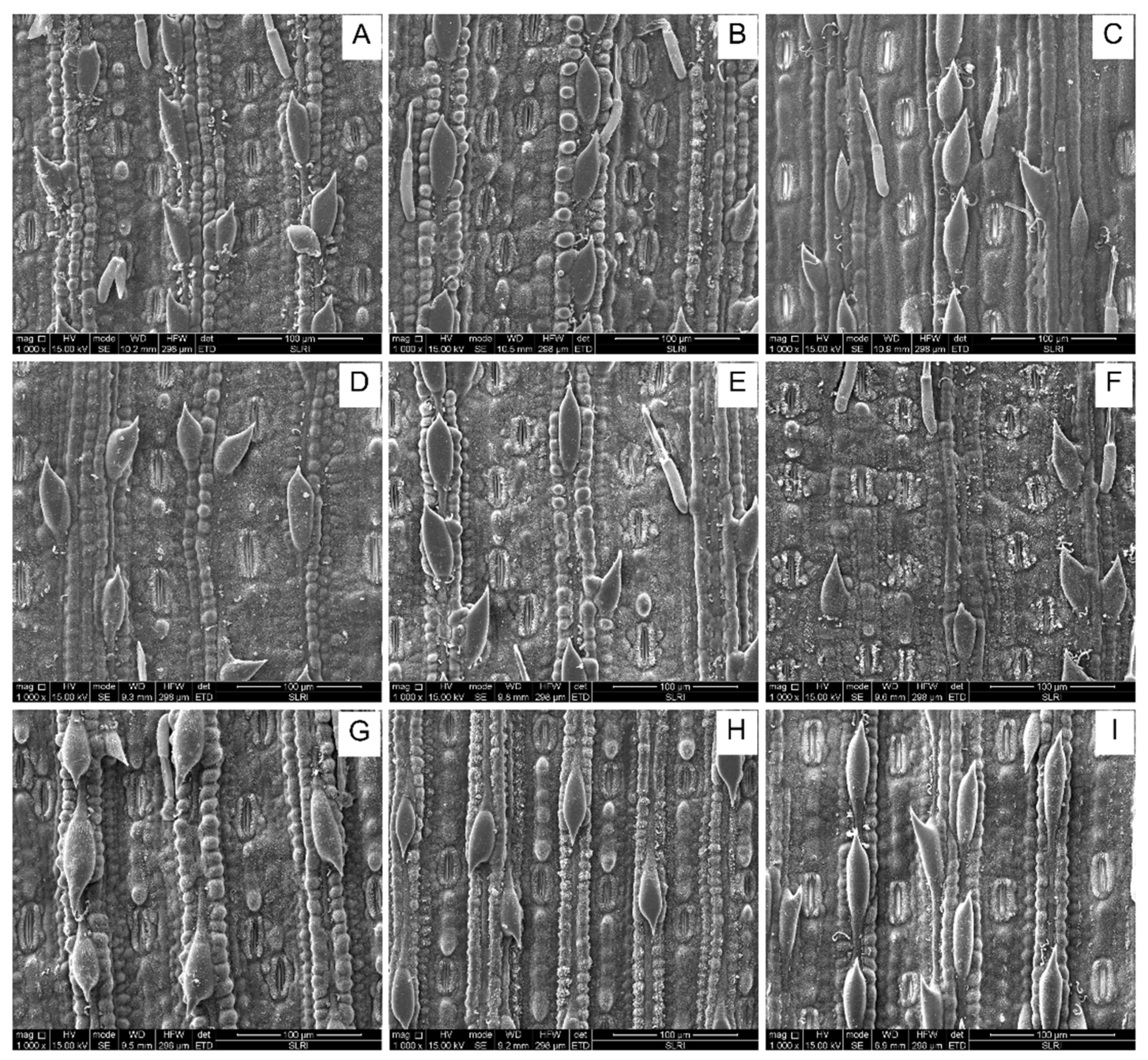 Preprints 106776 g007