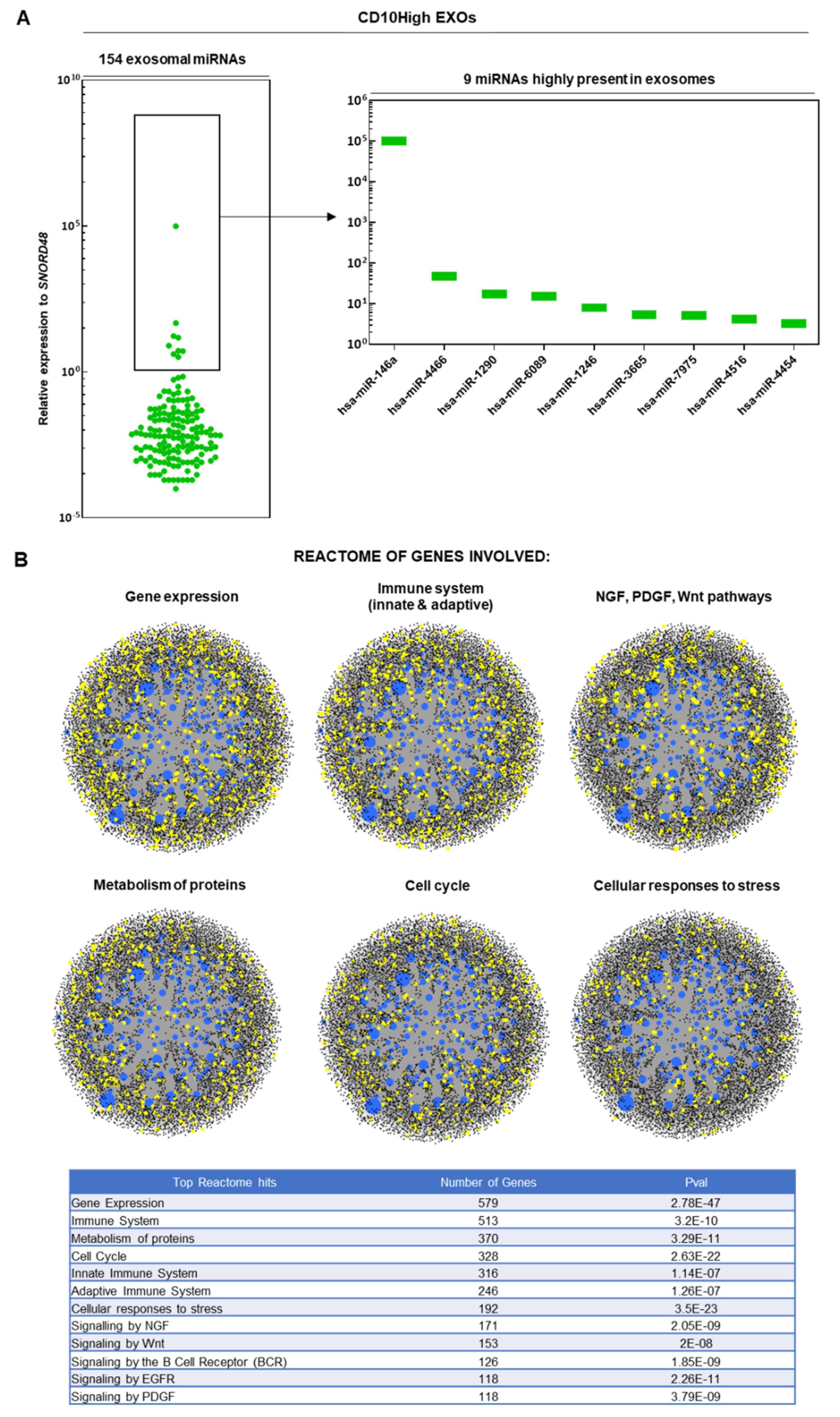 Preprints 74164 g002