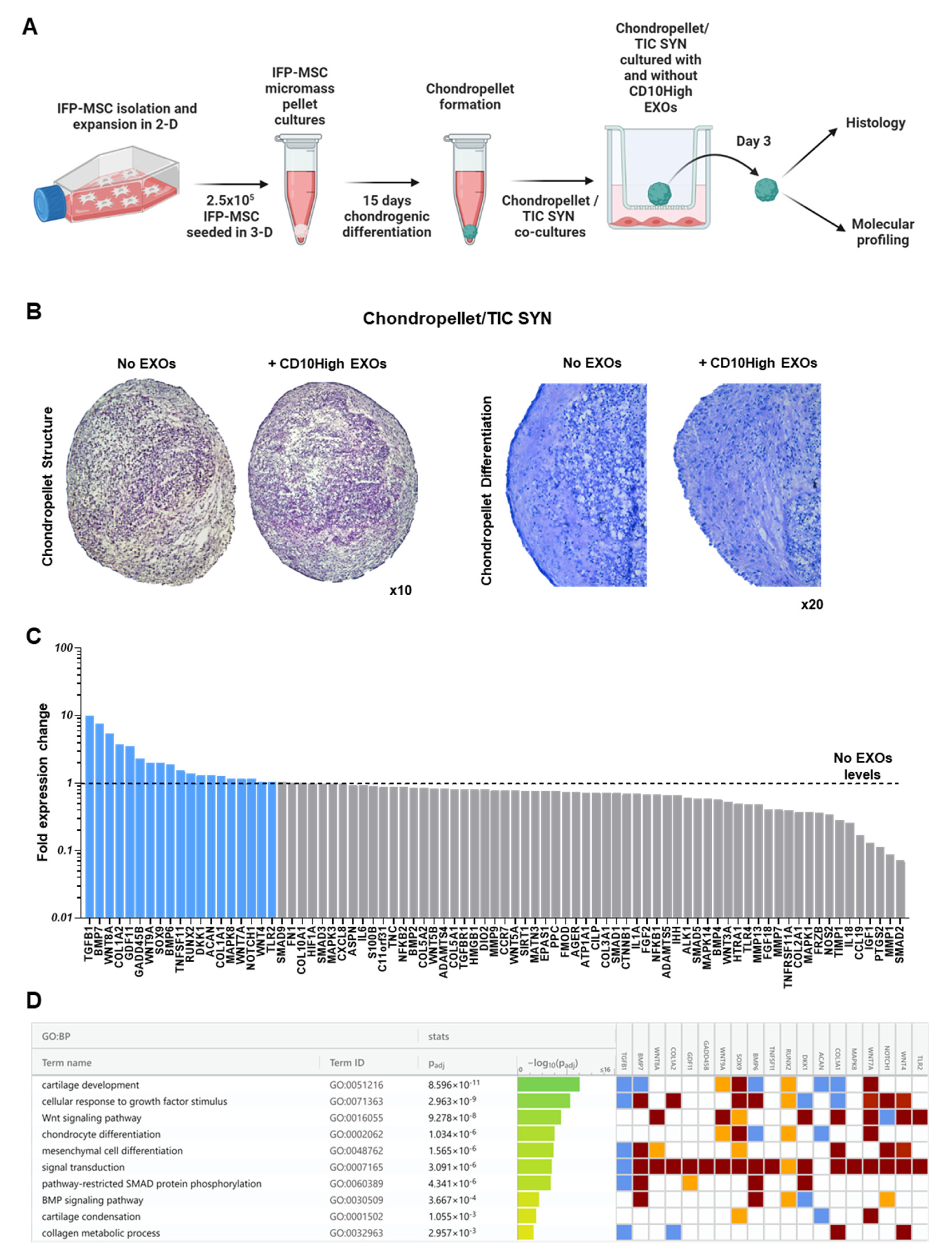 Preprints 74164 g006