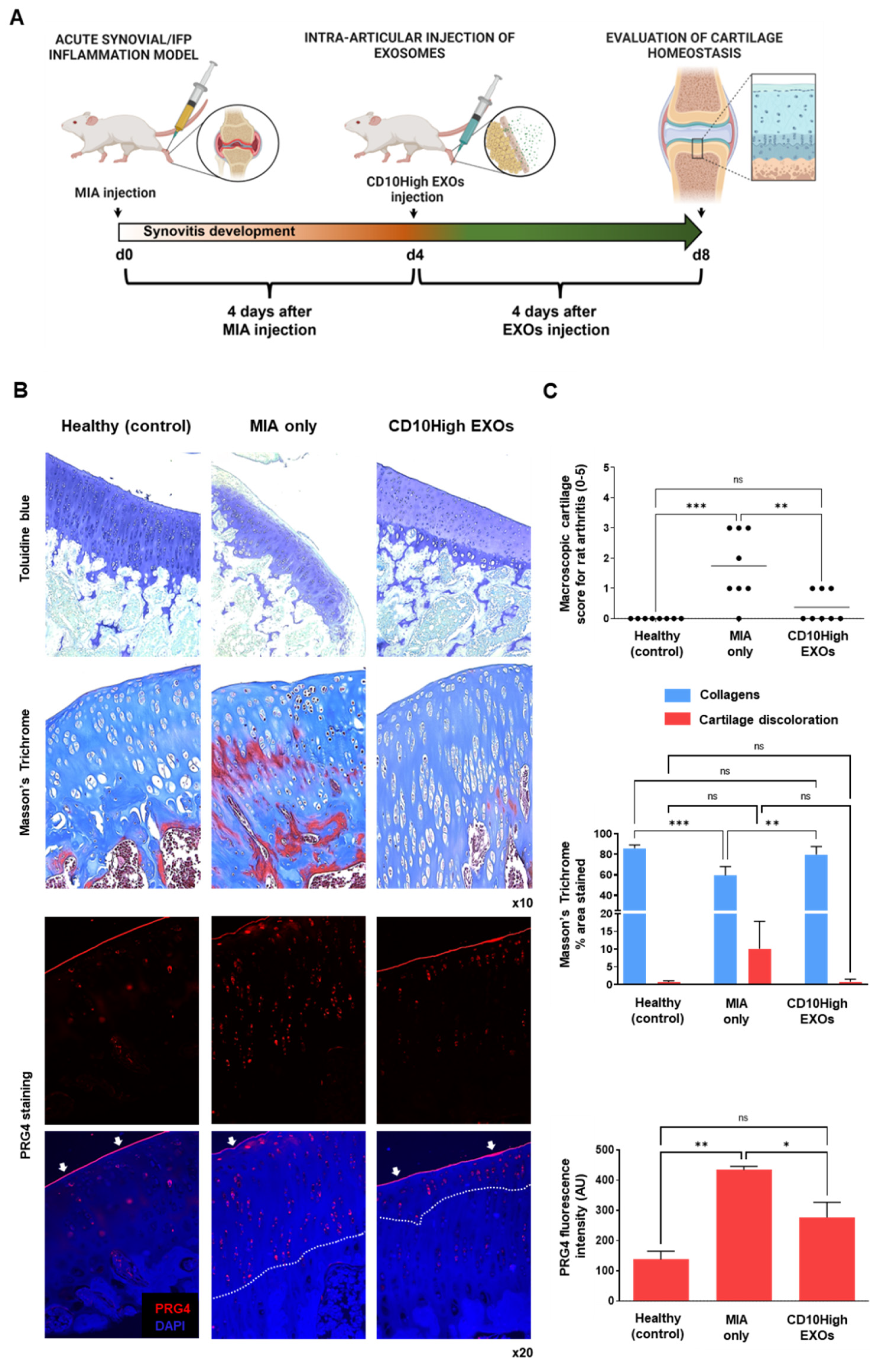 Preprints 74164 g007