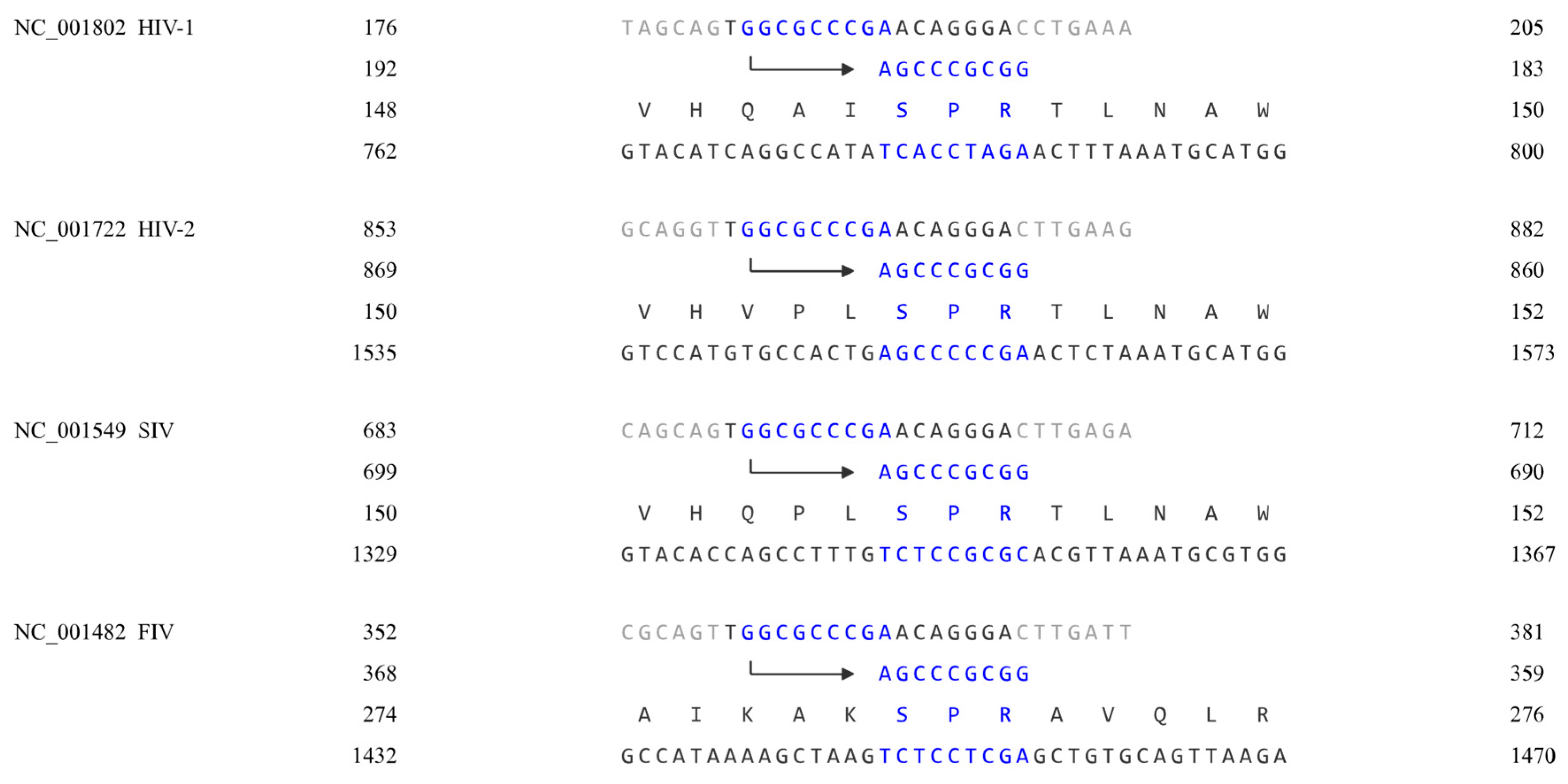 Preprints 83349 g002b