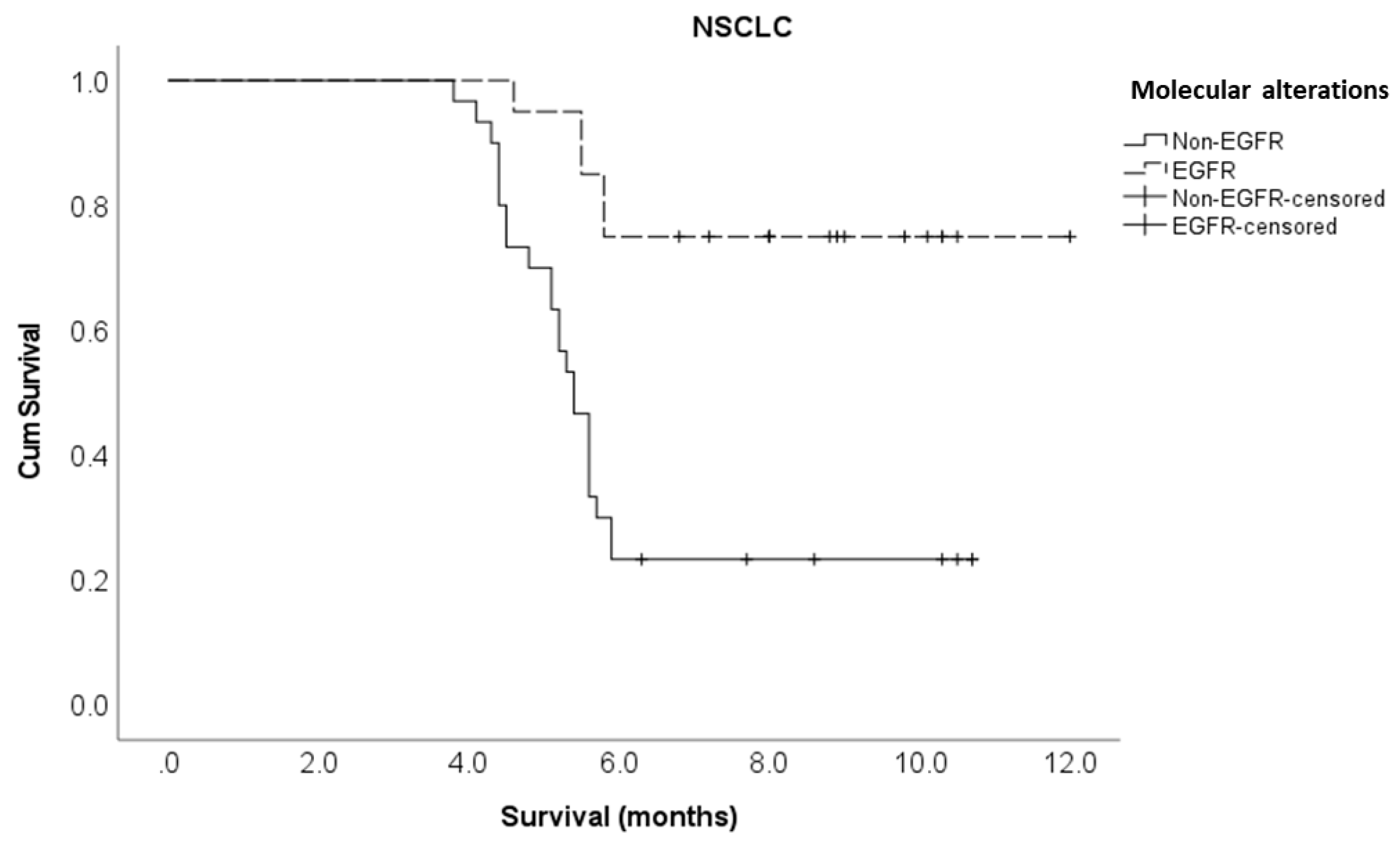 Preprints 80127 g004