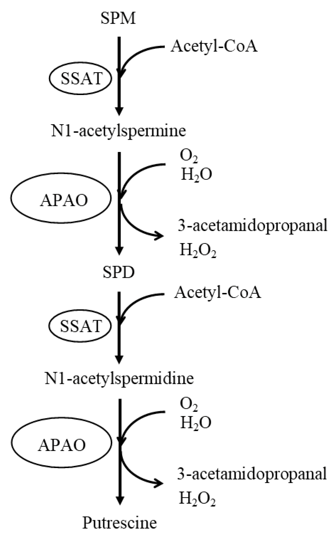 Preprints 73769 g002