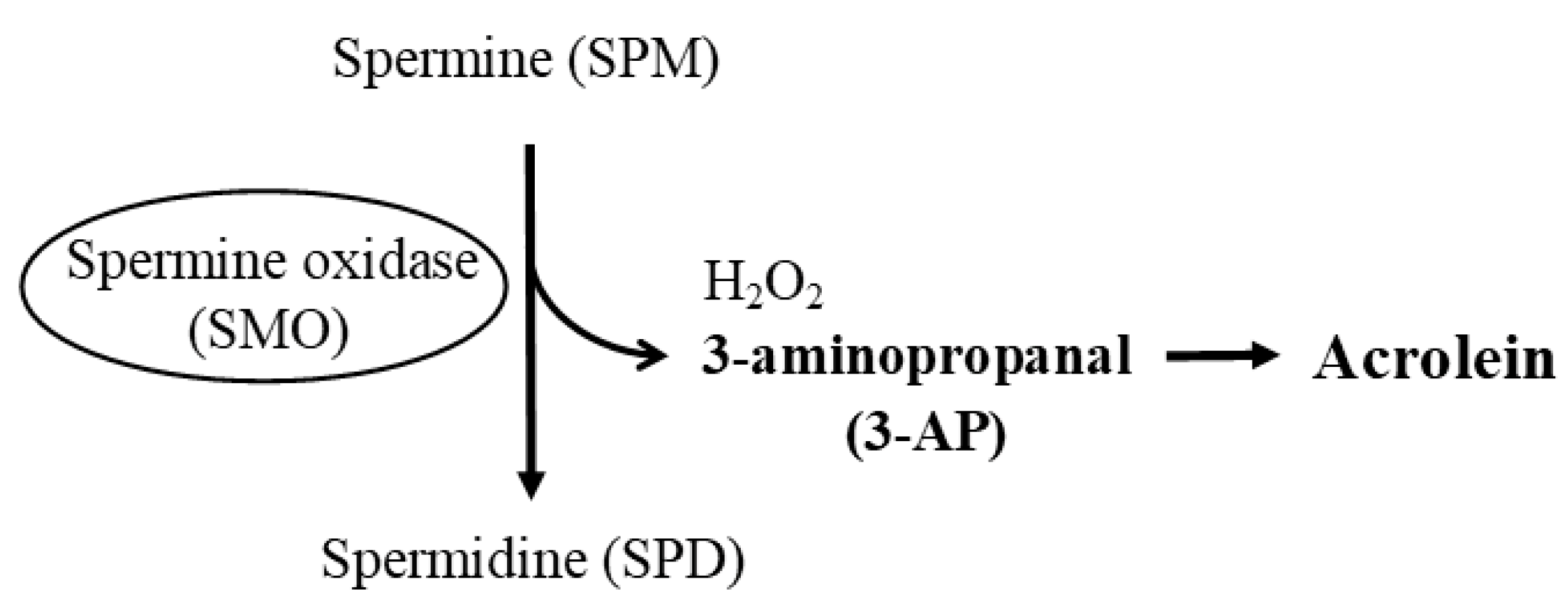 Preprints 73769 g003