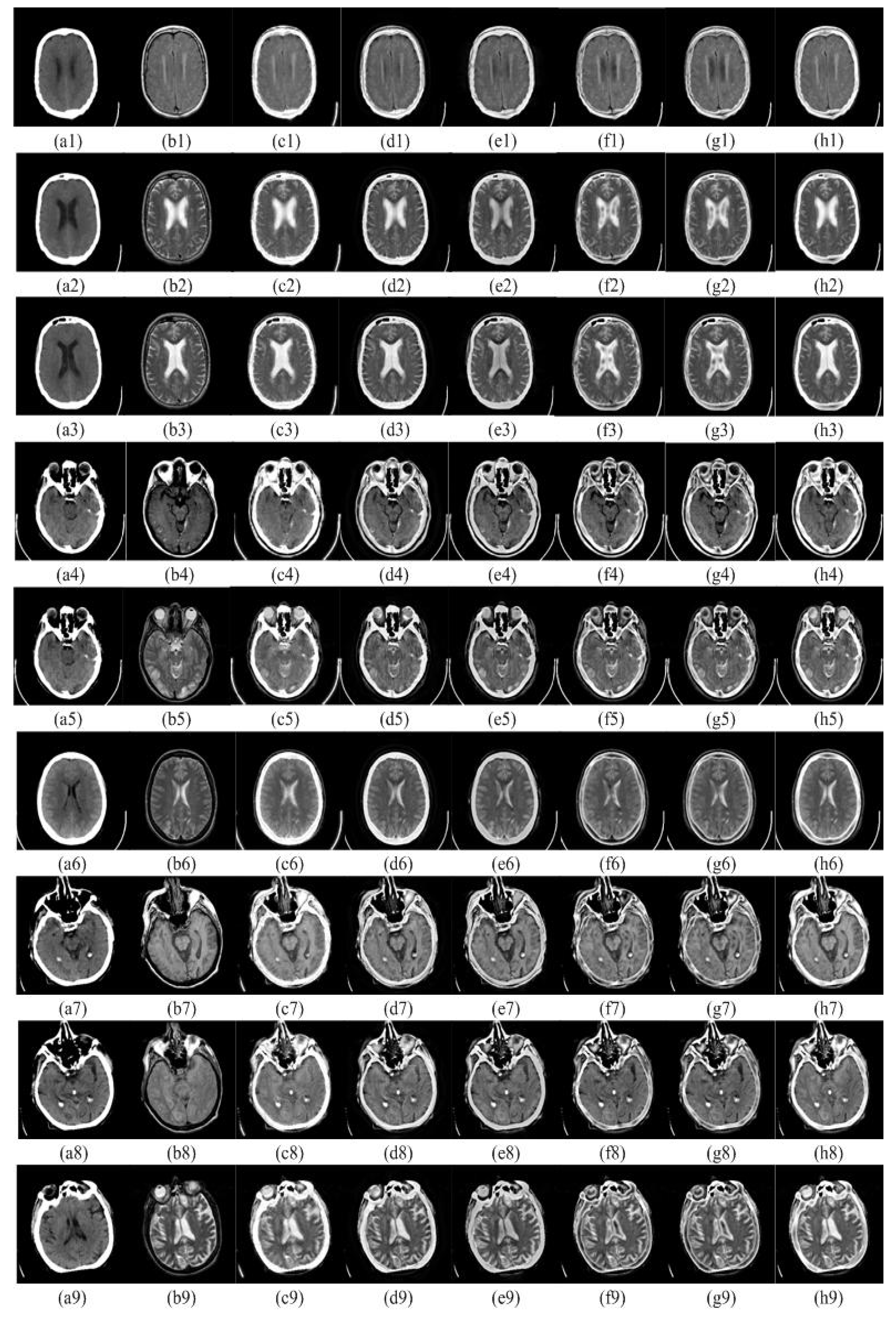 Preprints 76313 g004