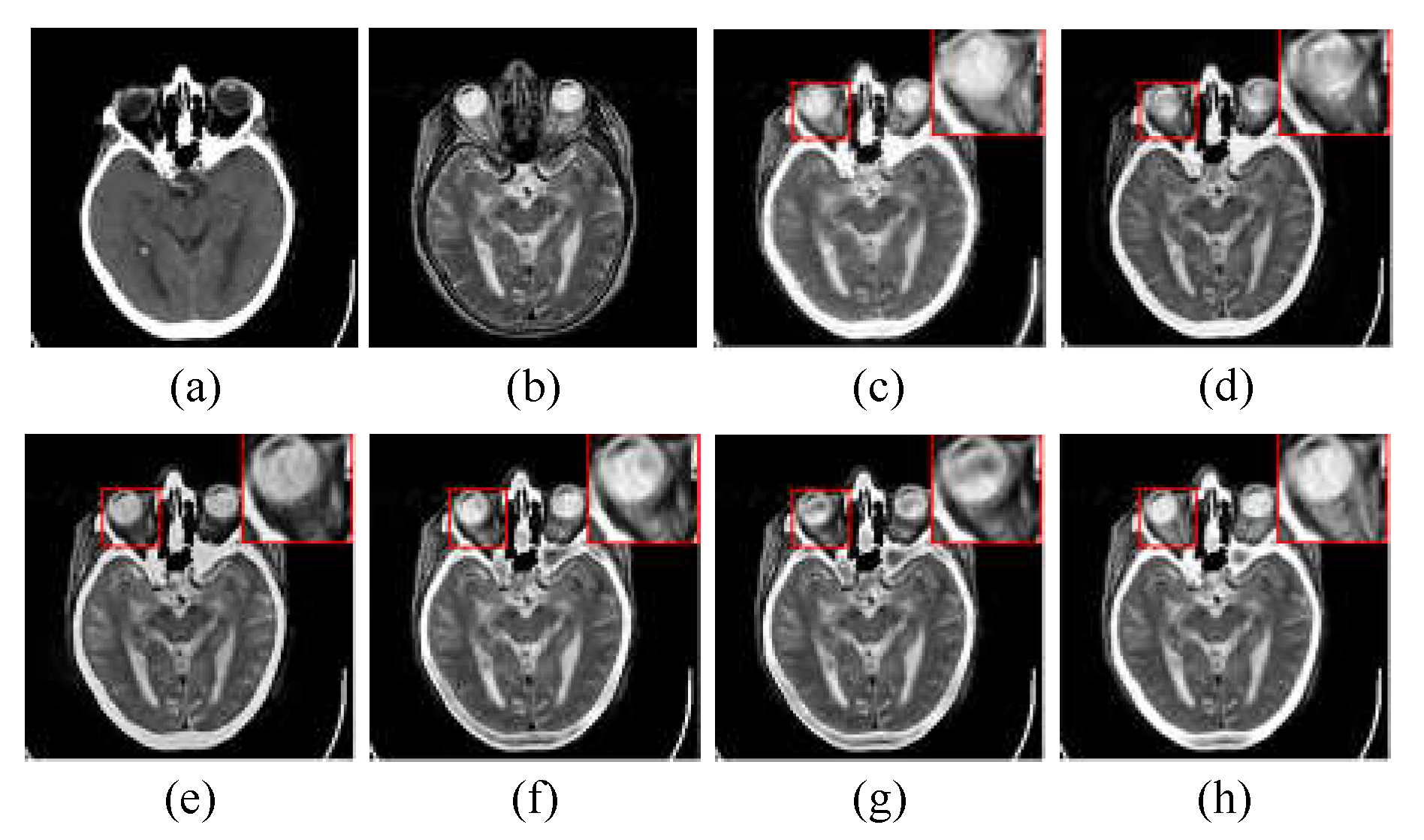 Preprints 76313 g005