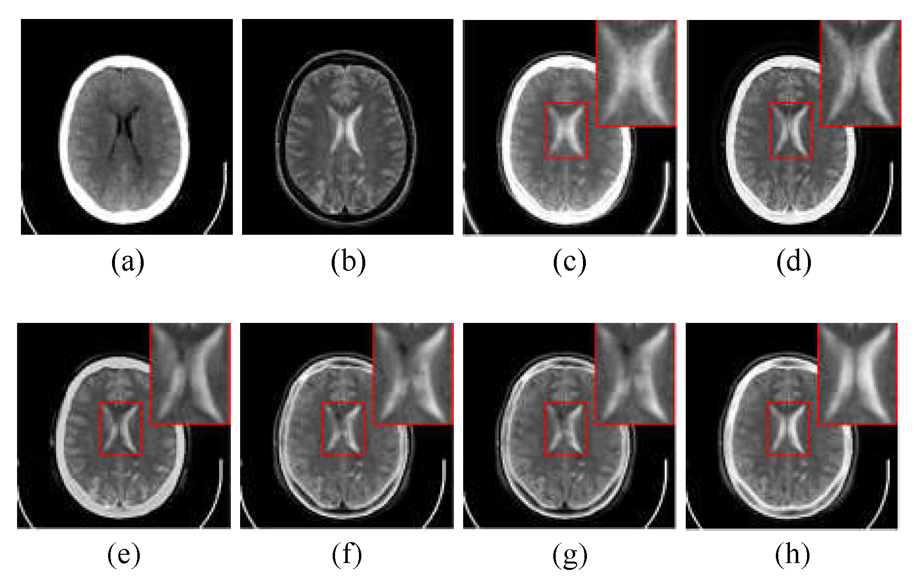 Preprints 76313 g006