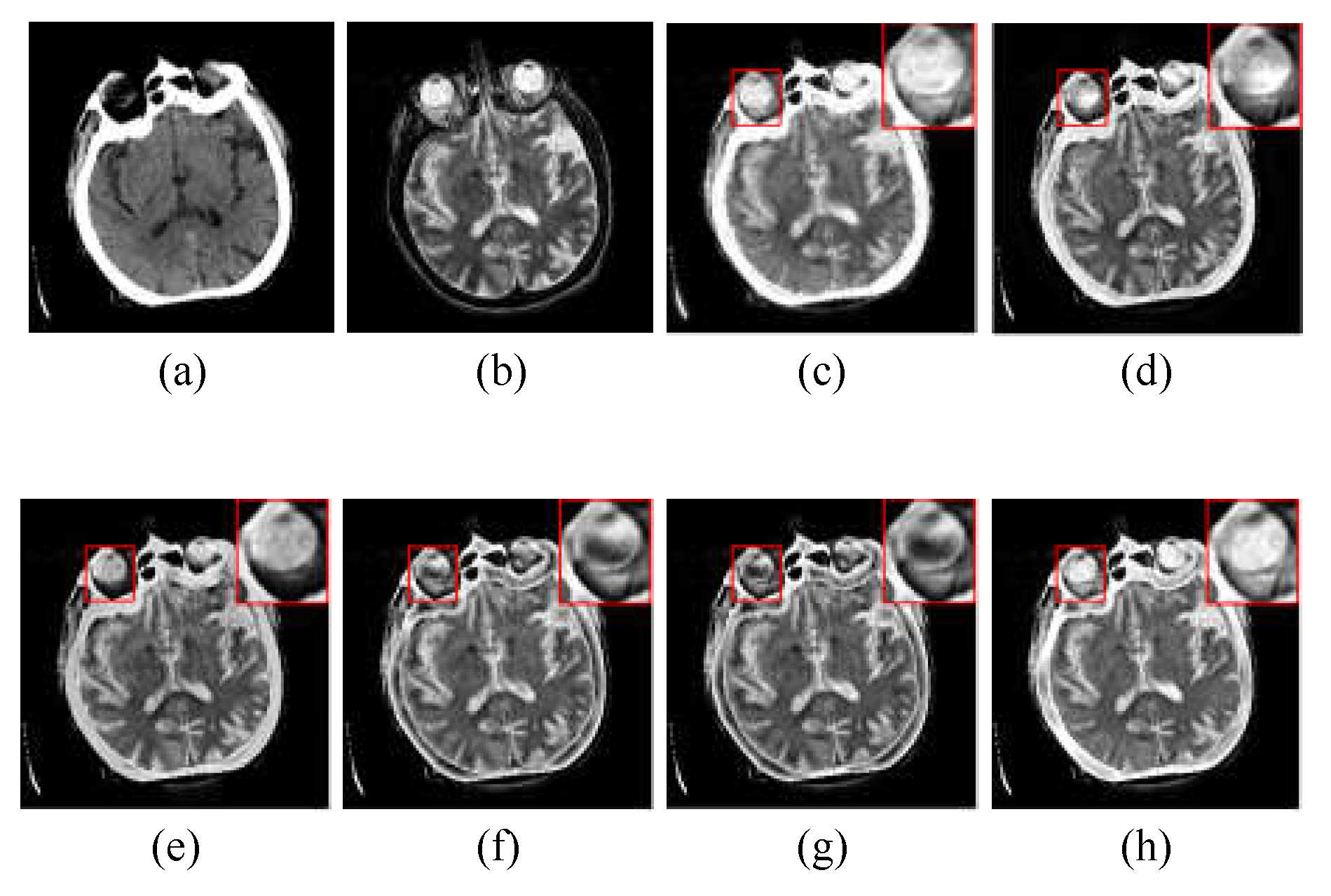 Preprints 76313 g007