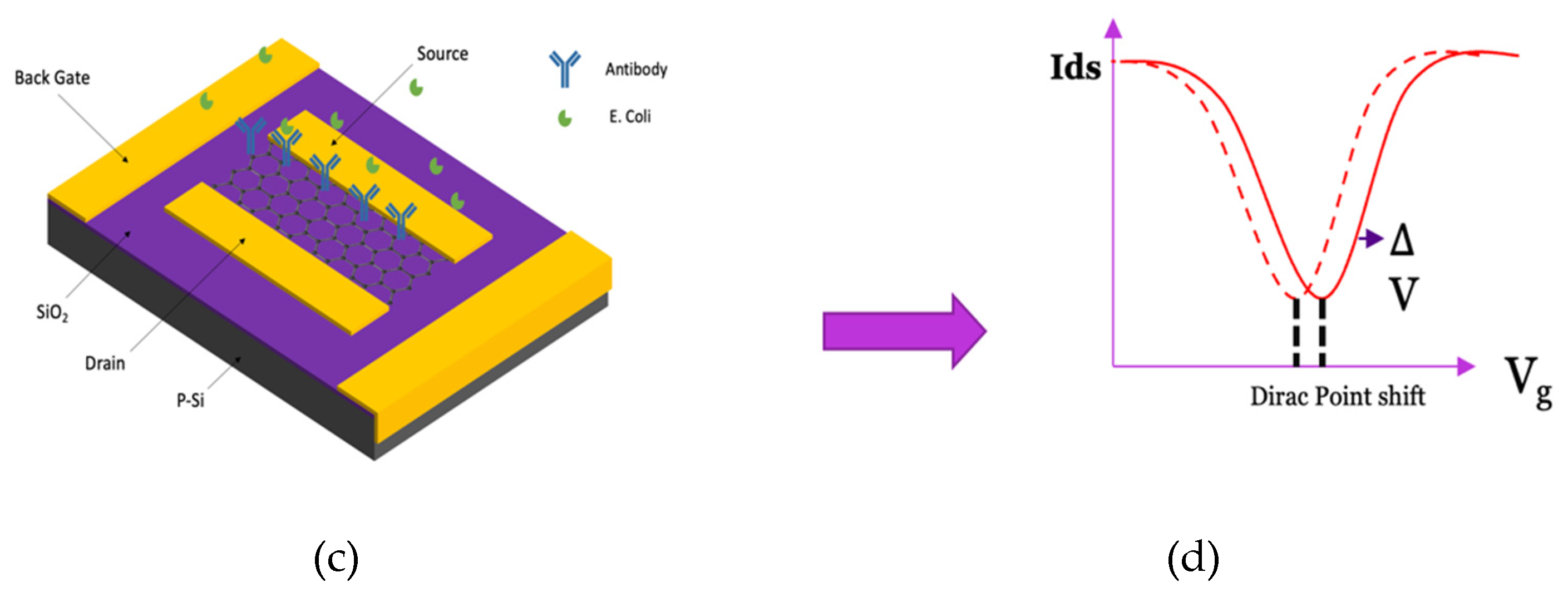 Preprints 110037 g001b