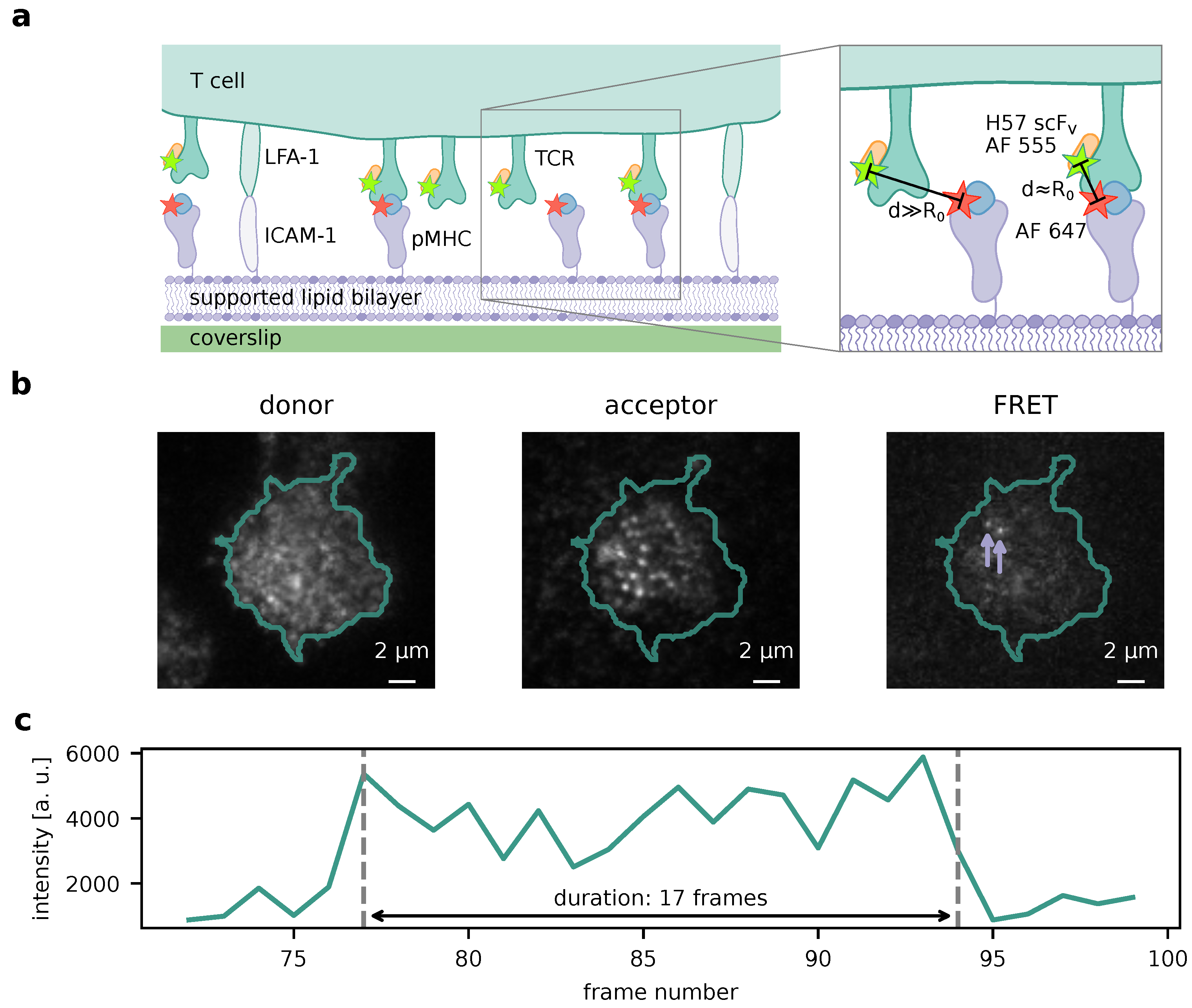 Preprints 111016 g001