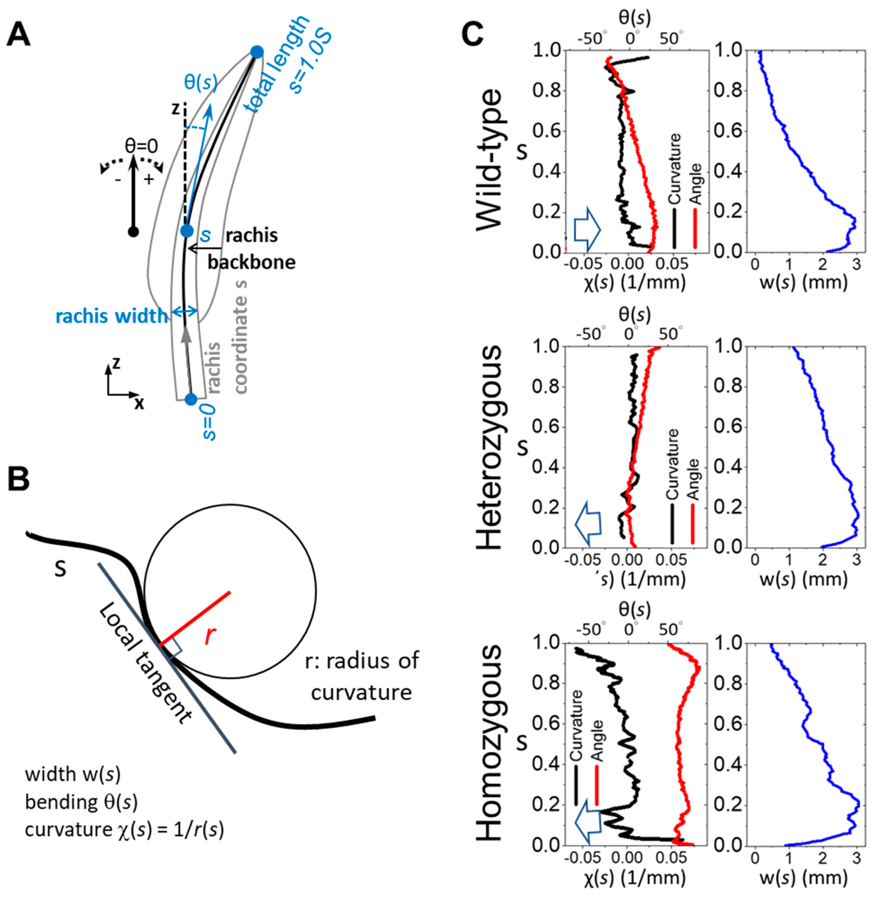 Preprints 105008 g002