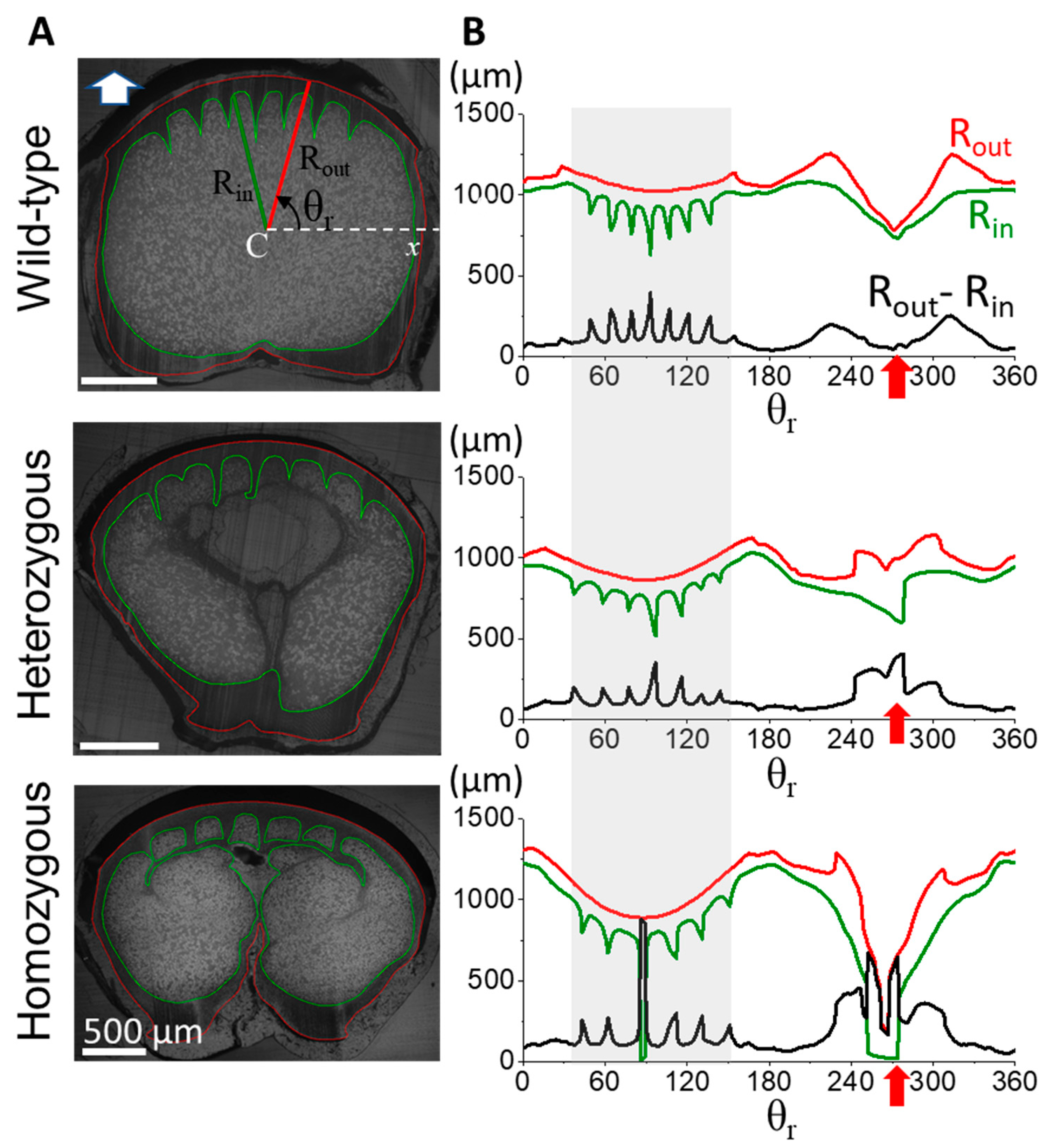 Preprints 105008 g003