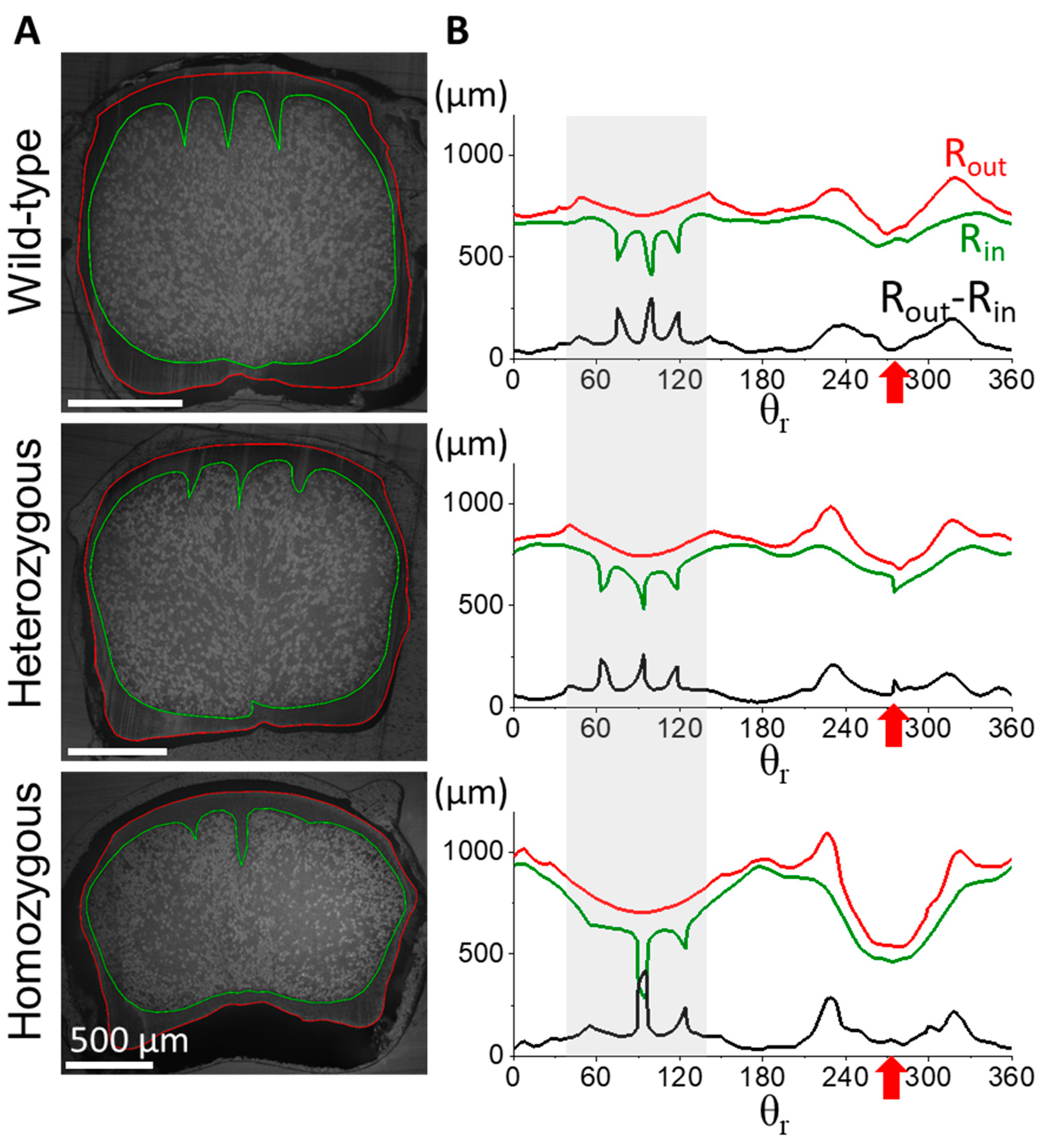 Preprints 105008 g004