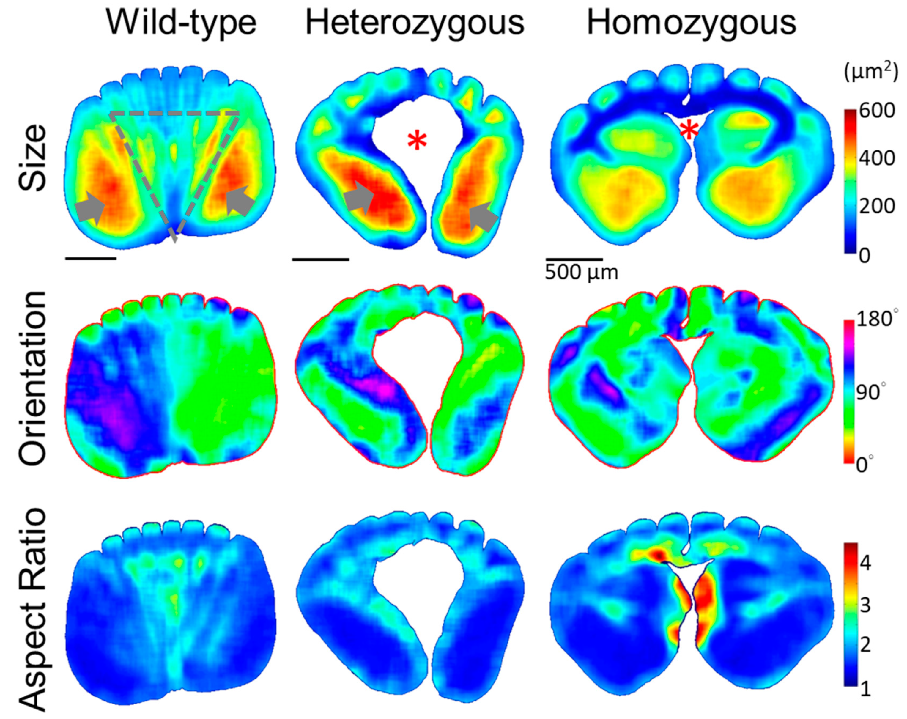 Preprints 105008 g005