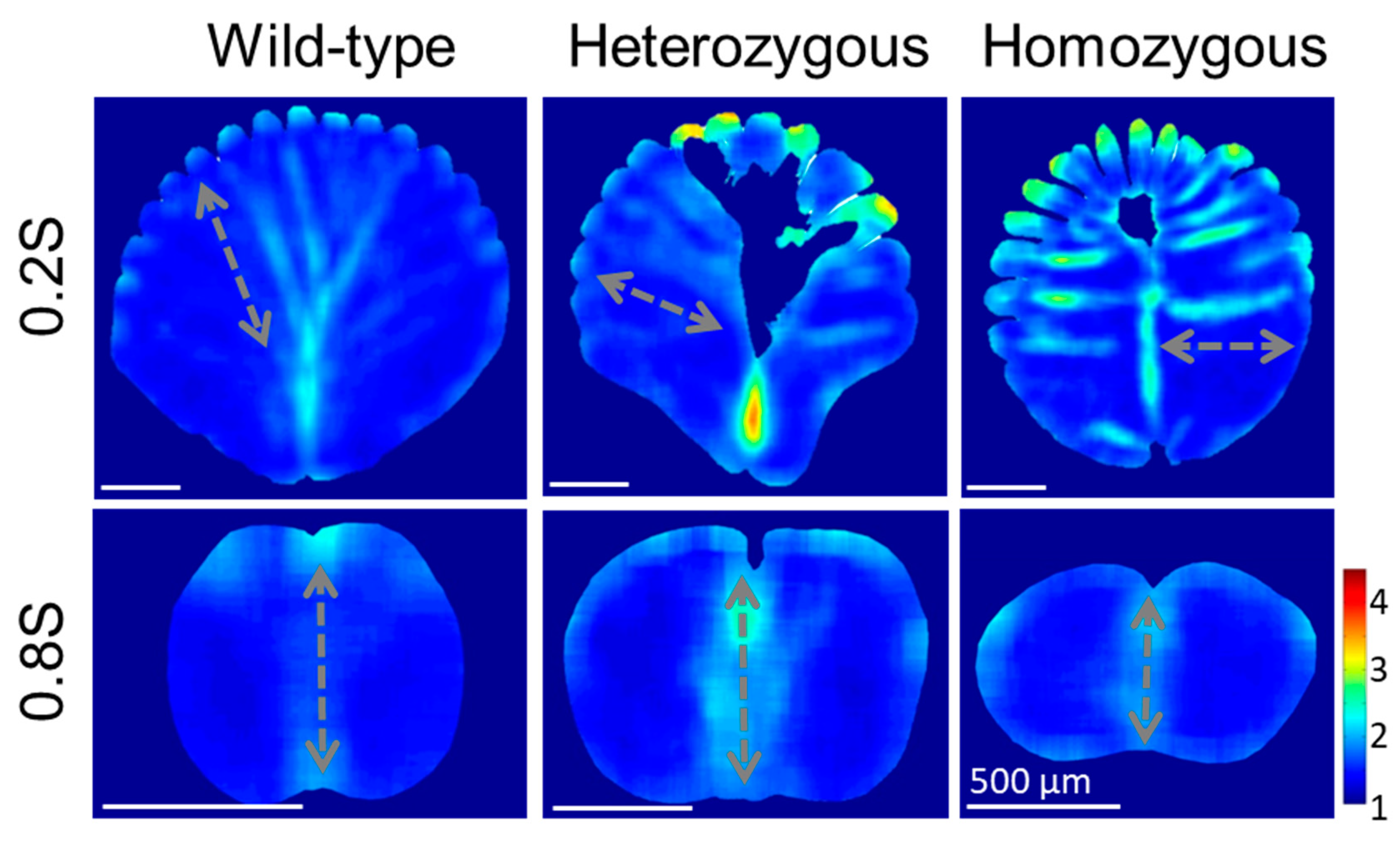 Preprints 105008 g007