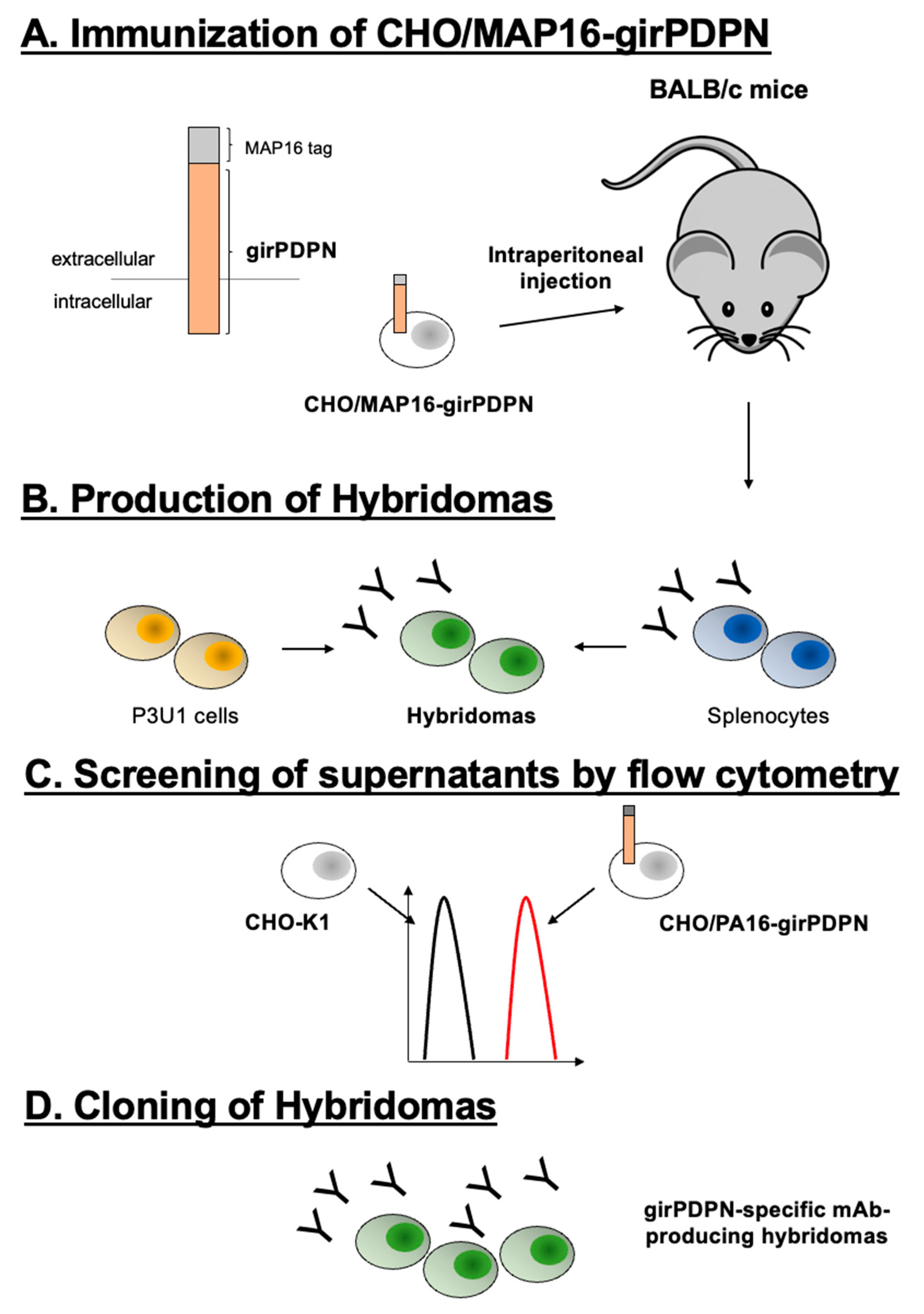 Preprints 86484 g001