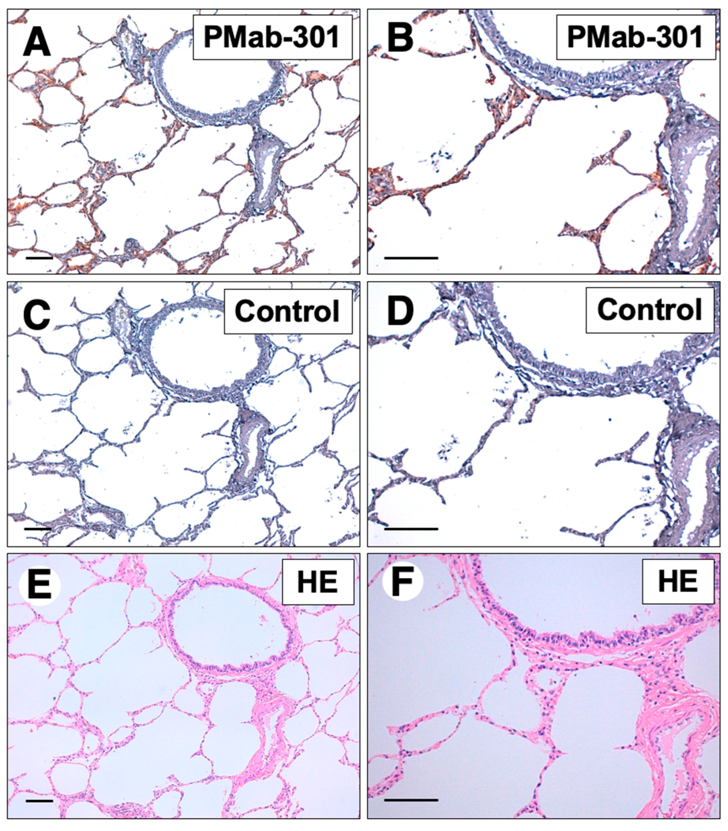 Preprints 86484 g004