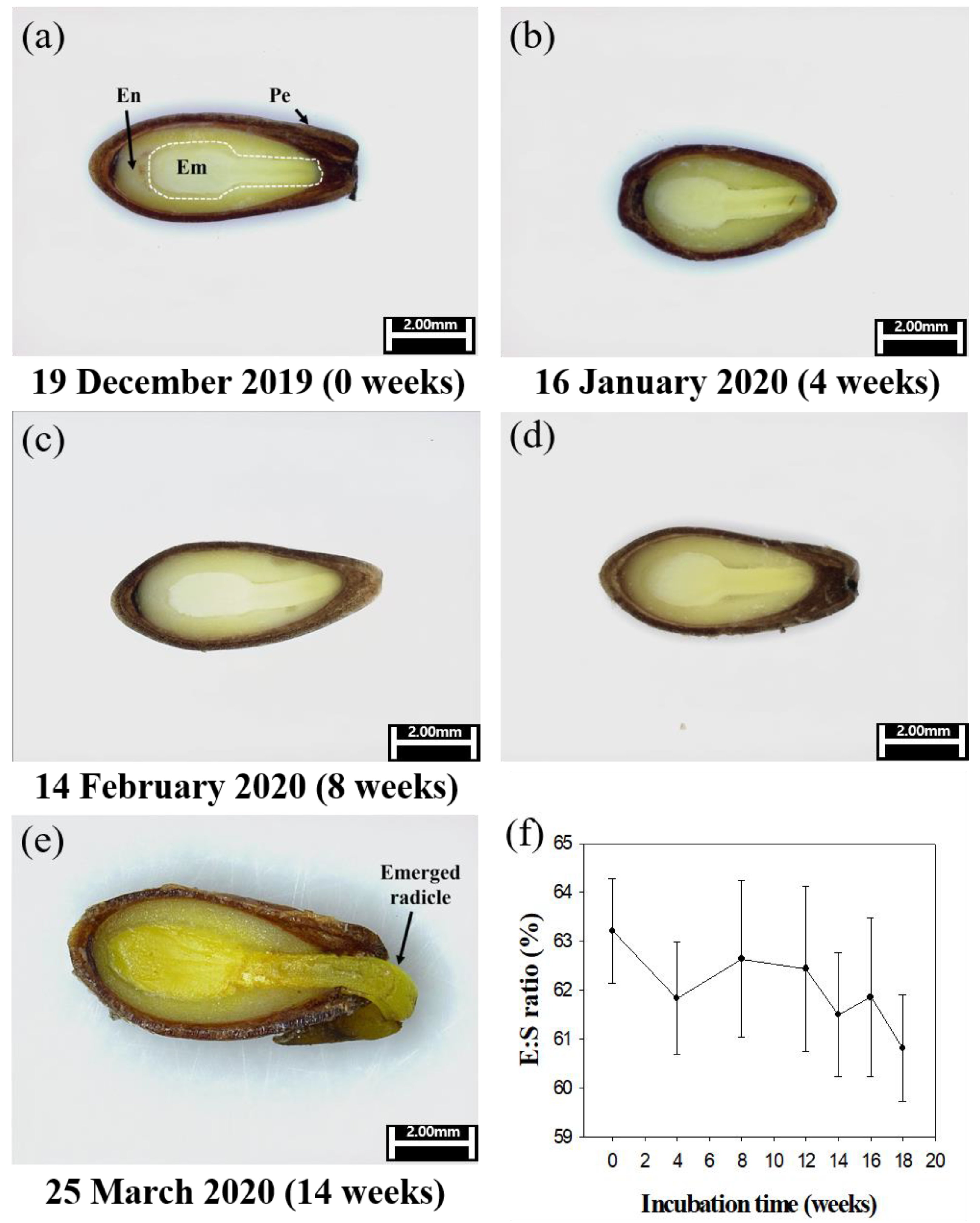 Preprints 71279 g006