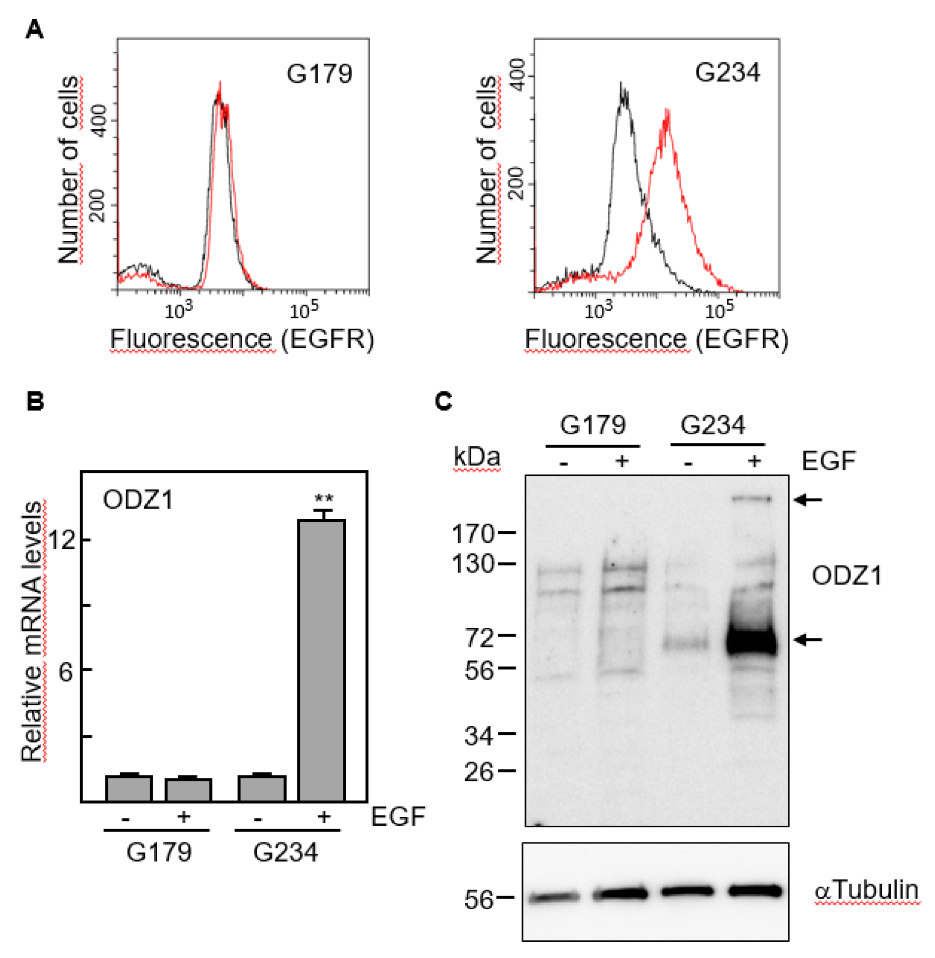 Preprints 101257 g003