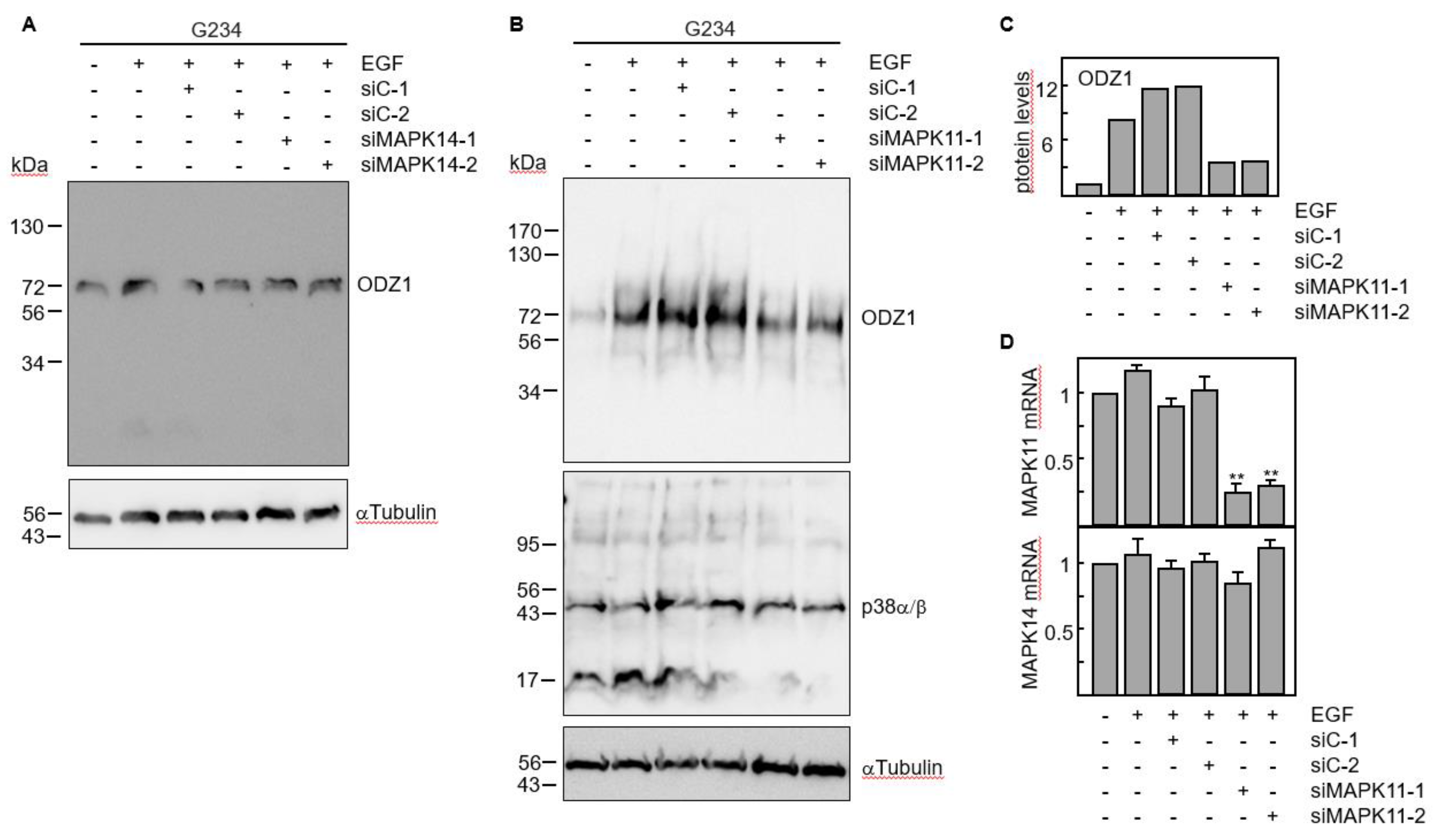 Preprints 101257 g005