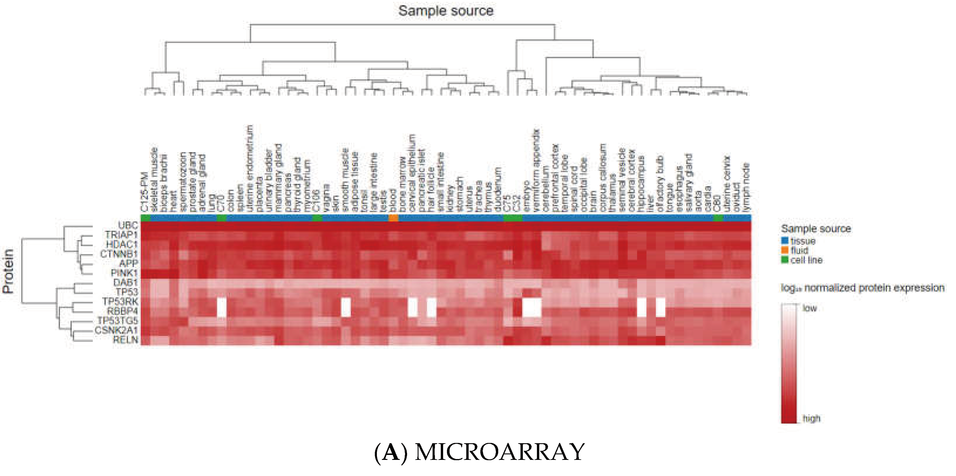 Preprints 69956 g006a