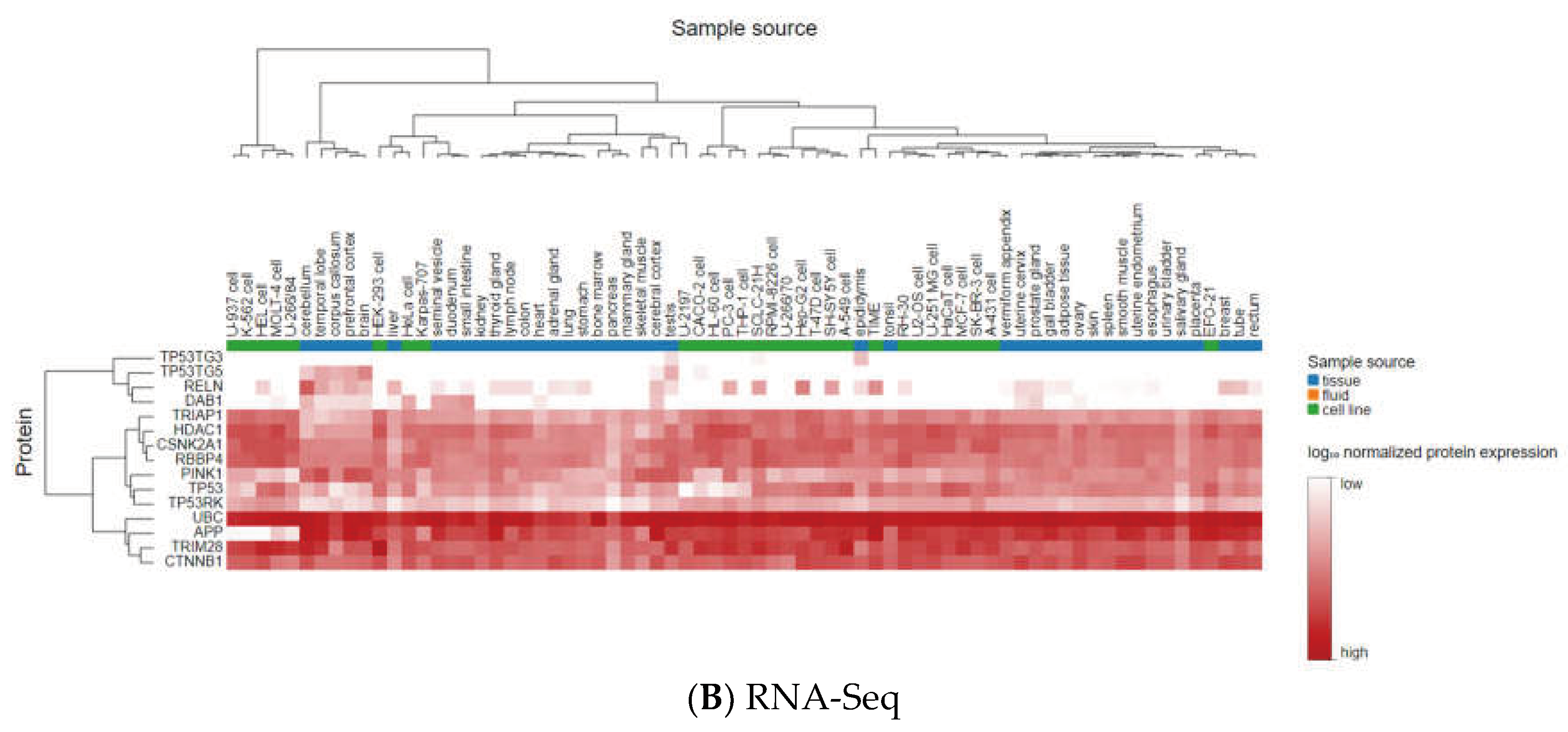 Preprints 69956 g006b