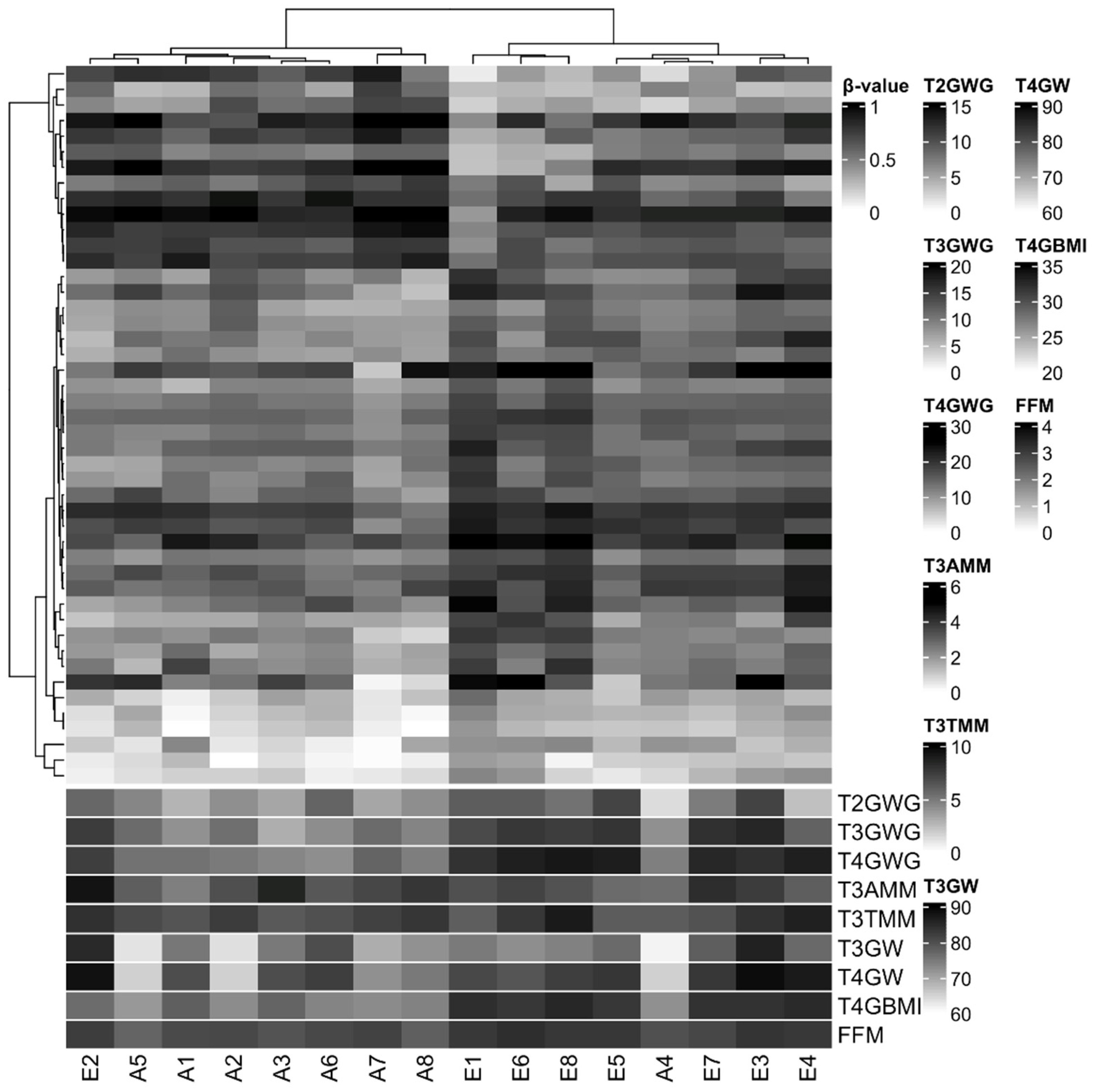 Preprints 77716 g002