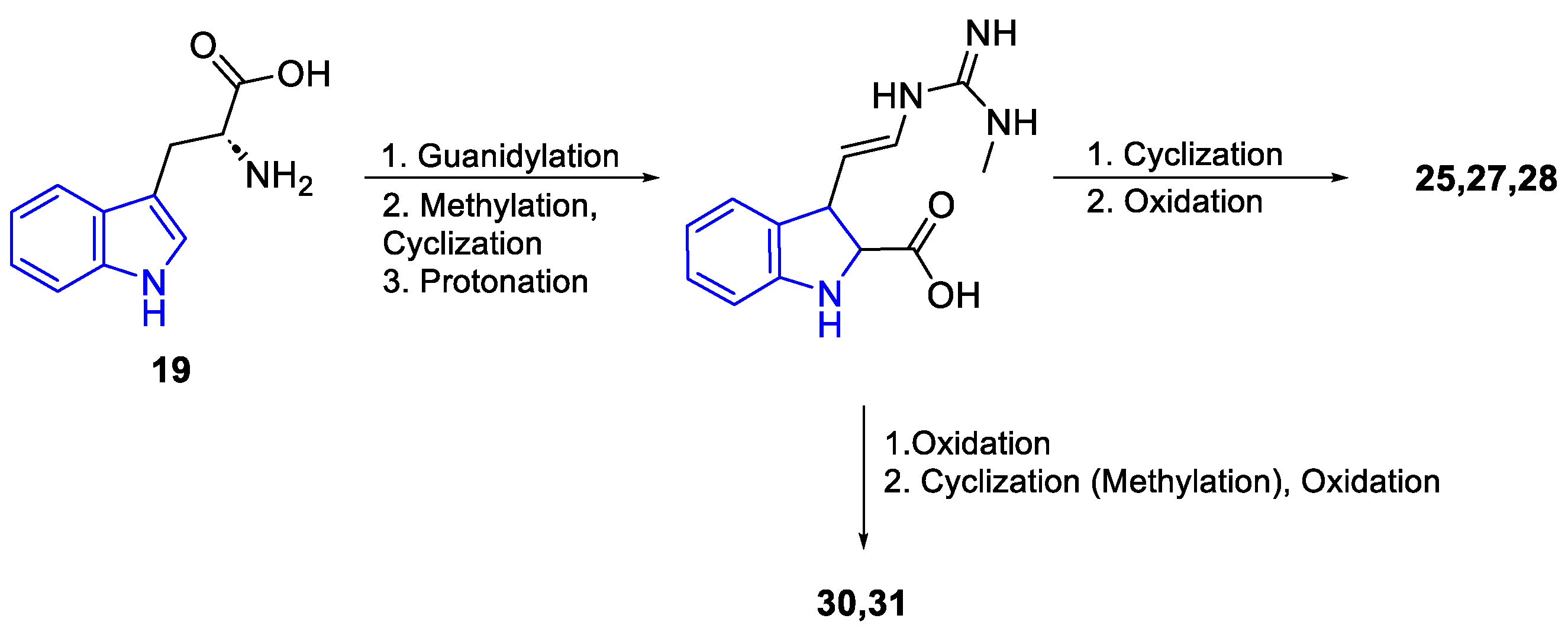 Preprints 99049 g011