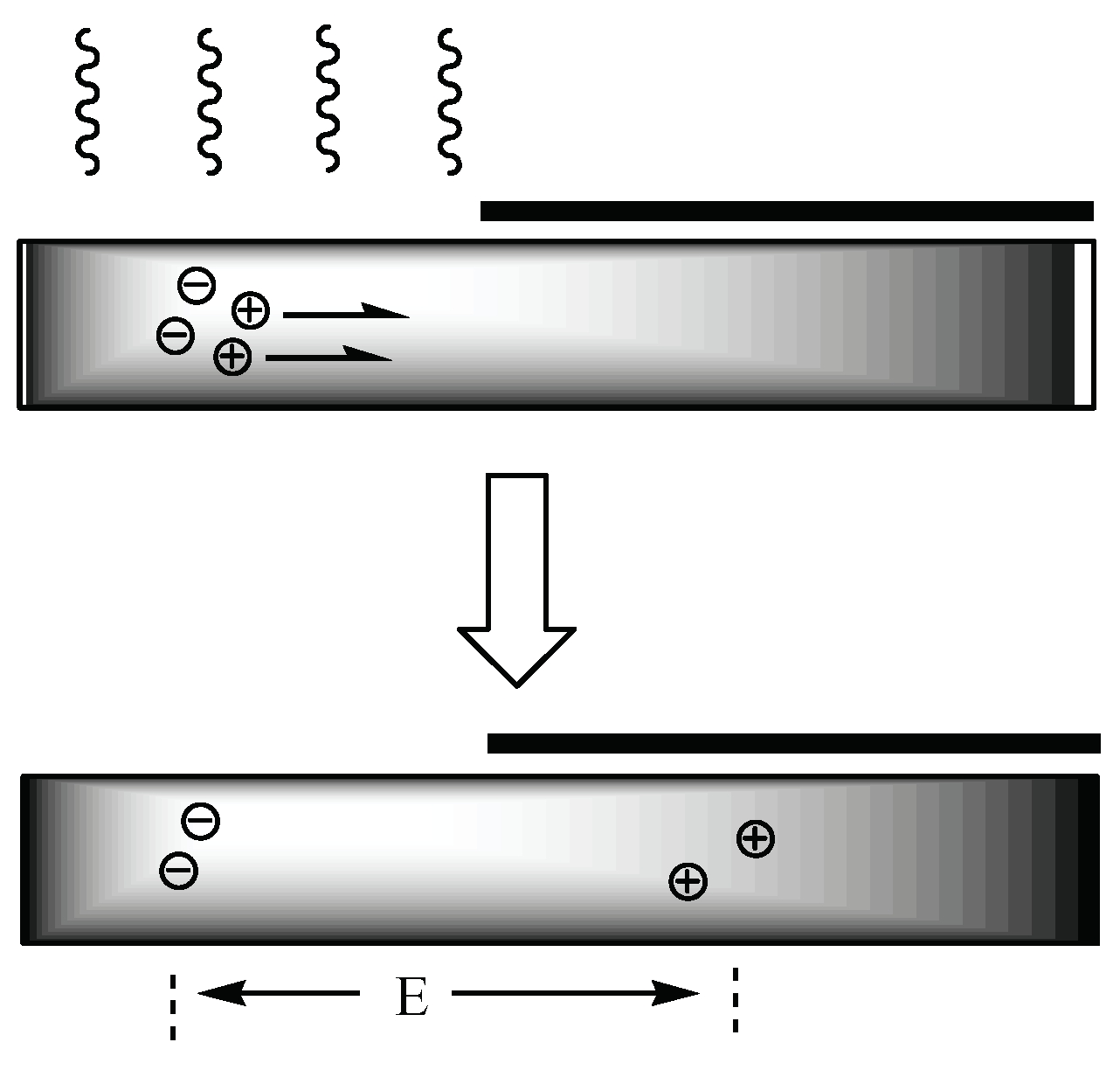 Preprints 99795 g003