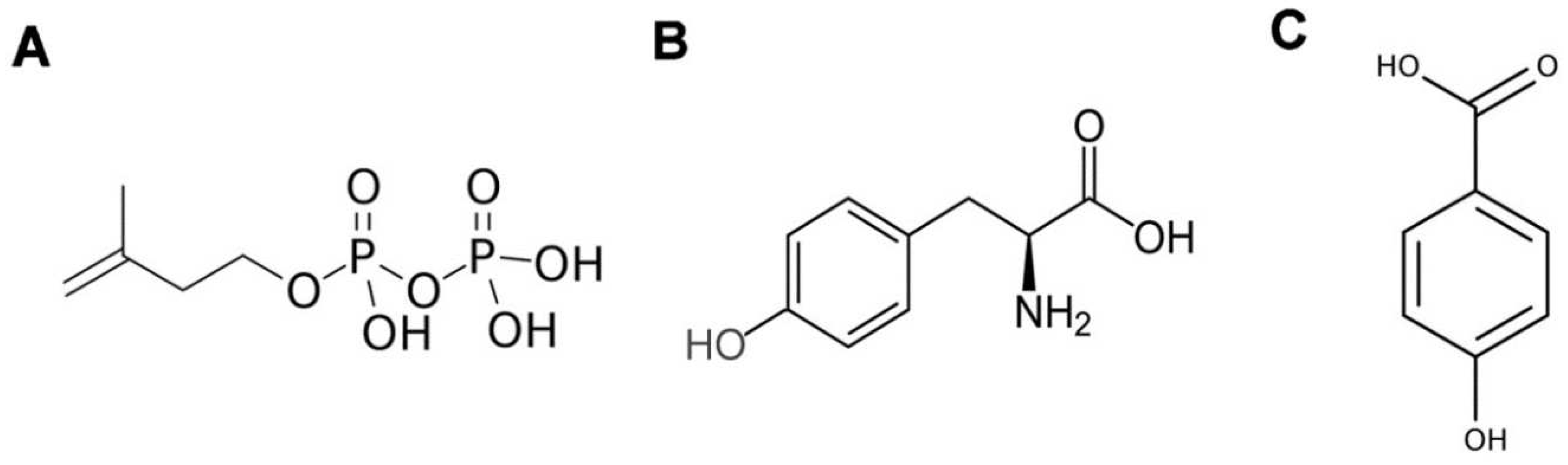 Preprints 89121 g001