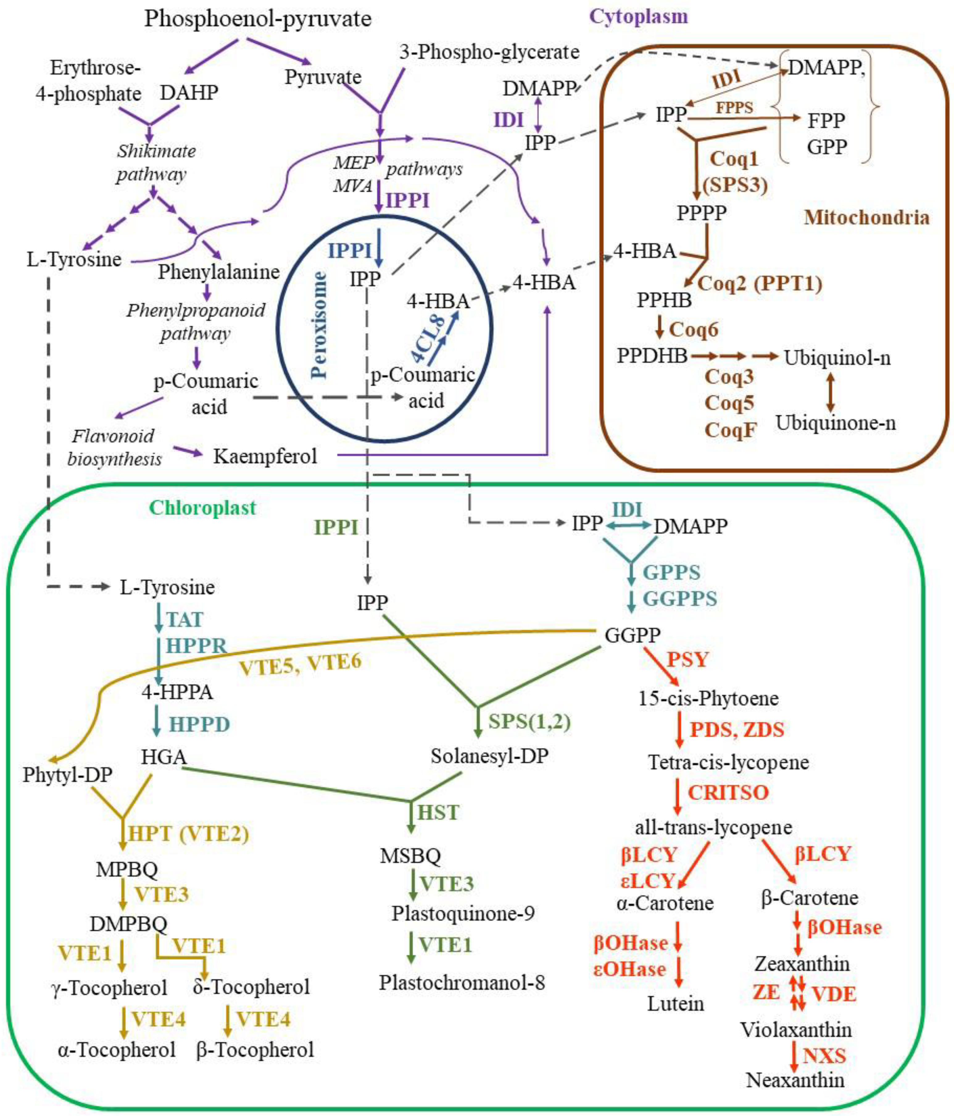 Preprints 89121 g002