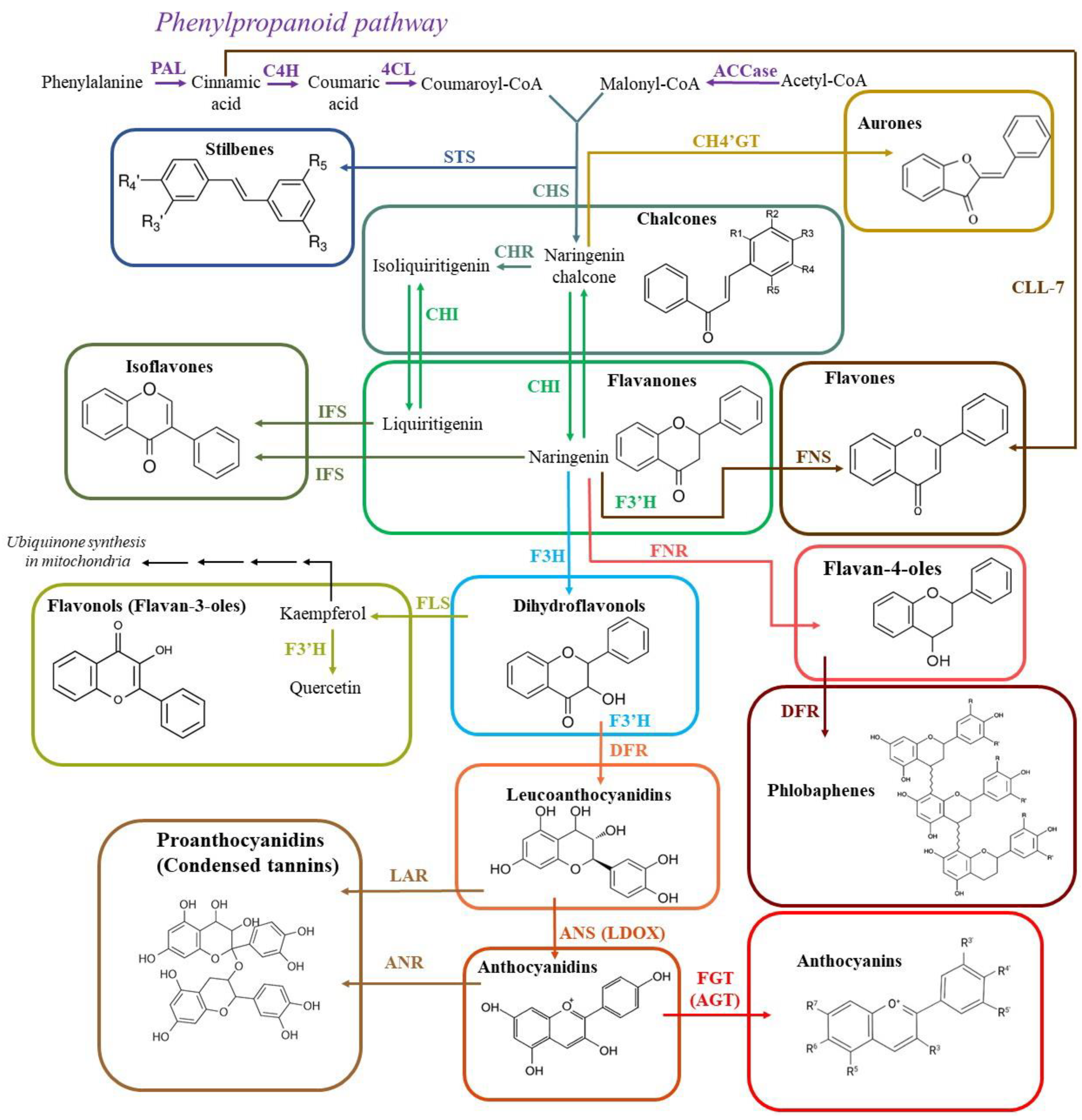 Preprints 89121 g004