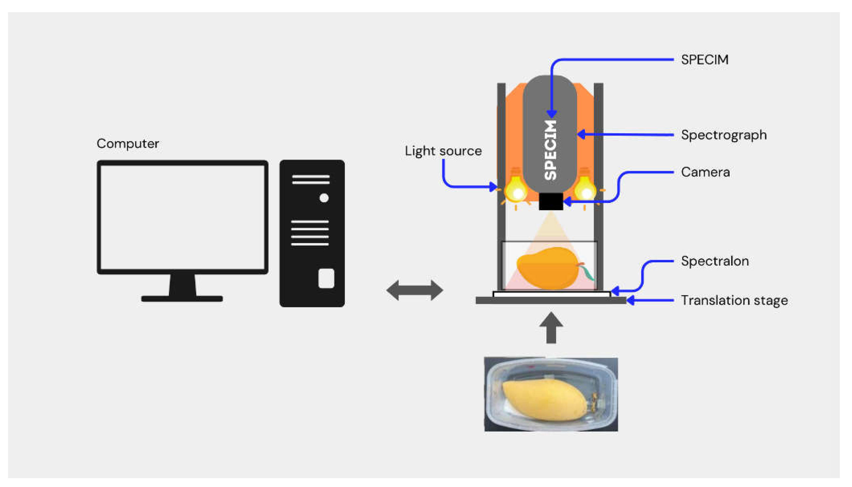 Preprints 114807 g001