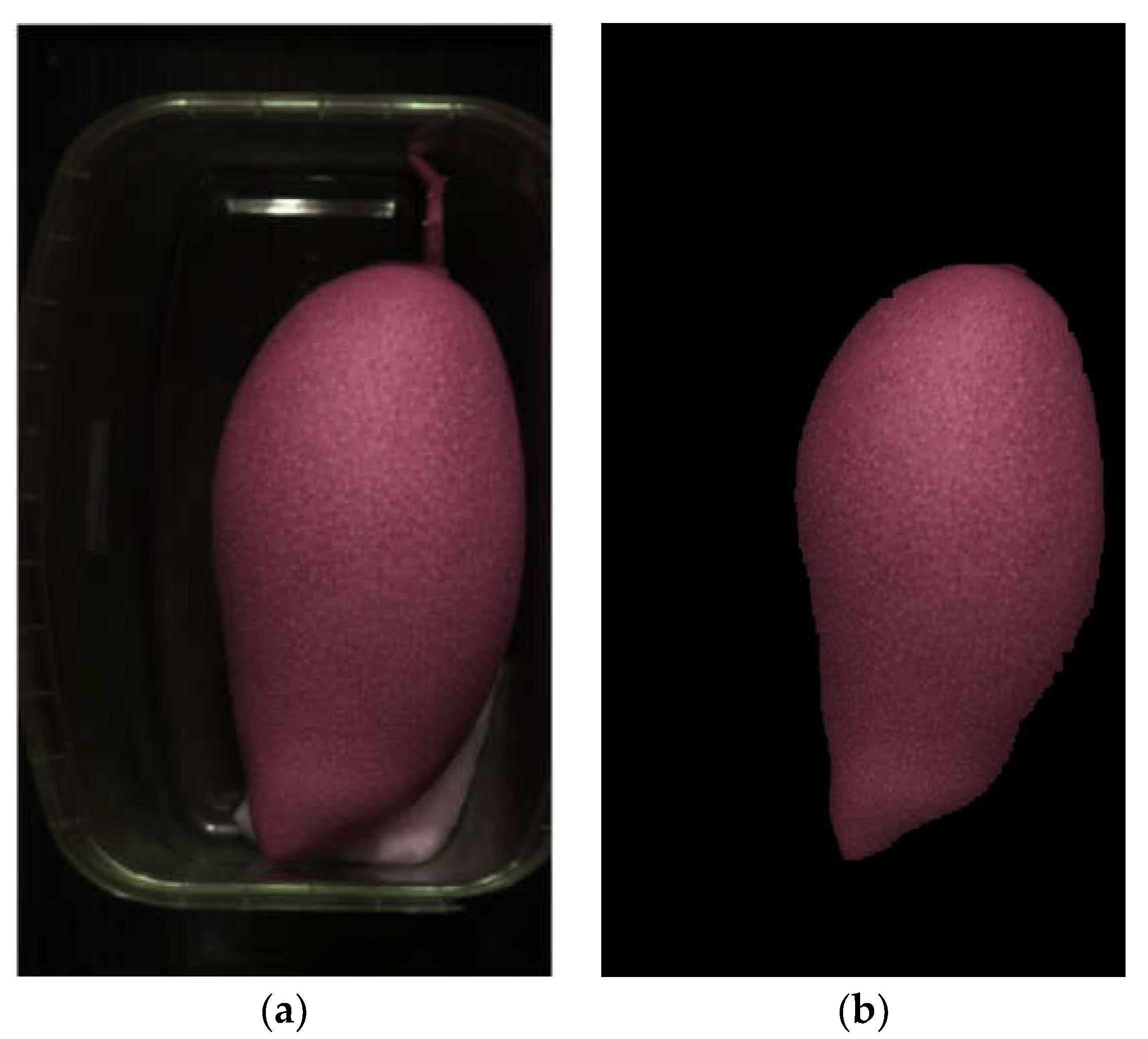 Preprints 114807 g002