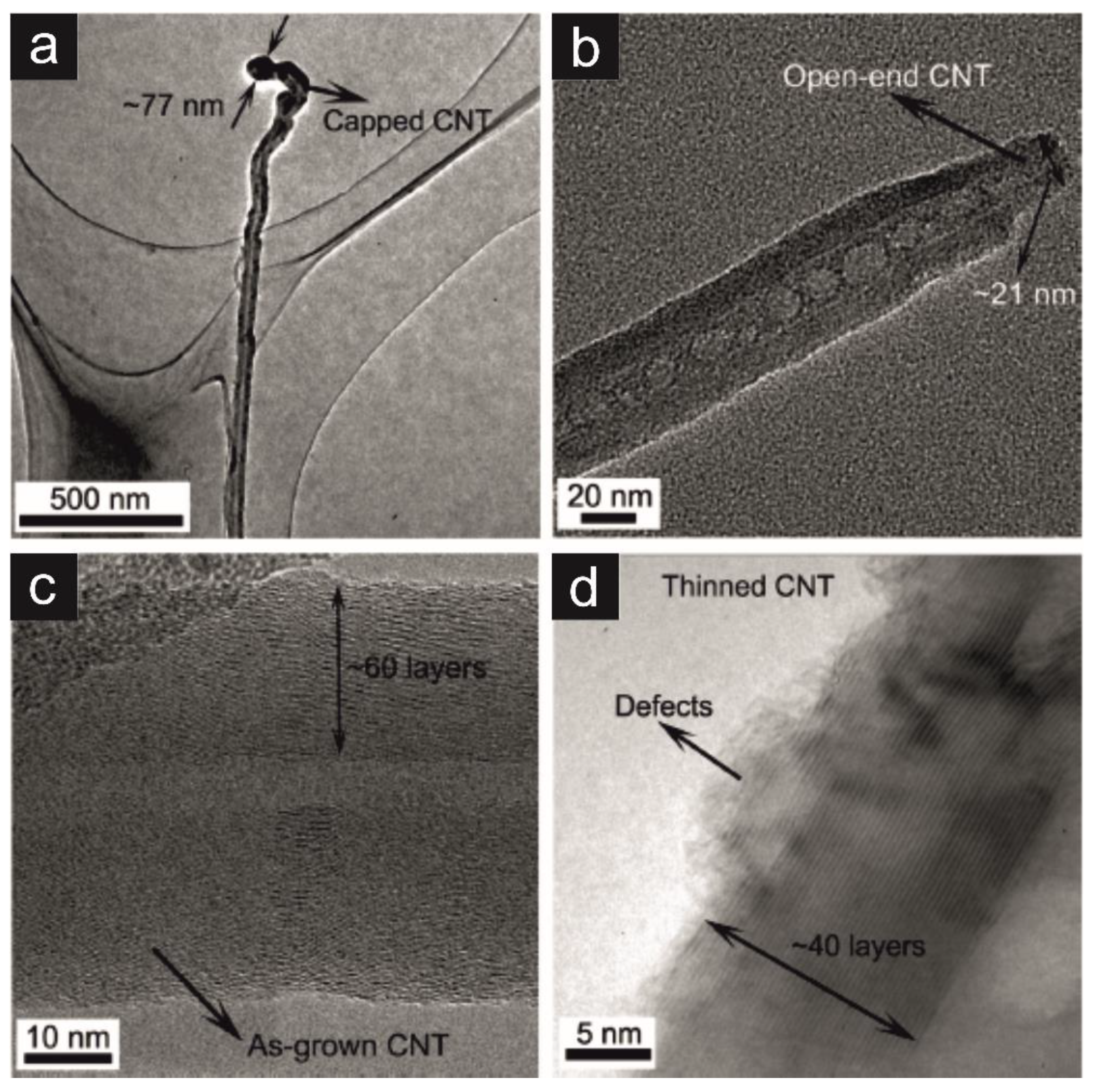 Preprints 81322 g001