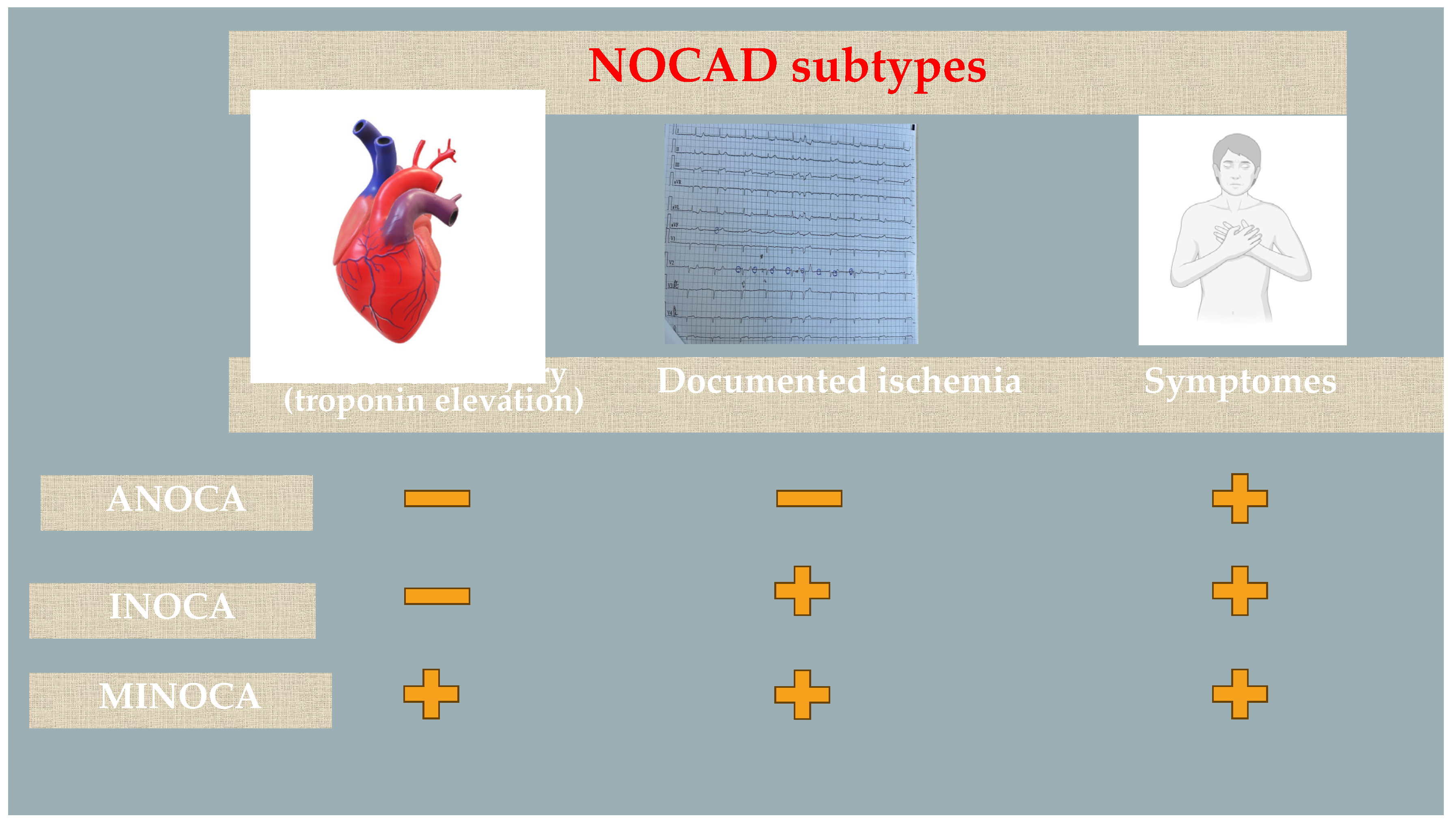 Preprints 113532 g001