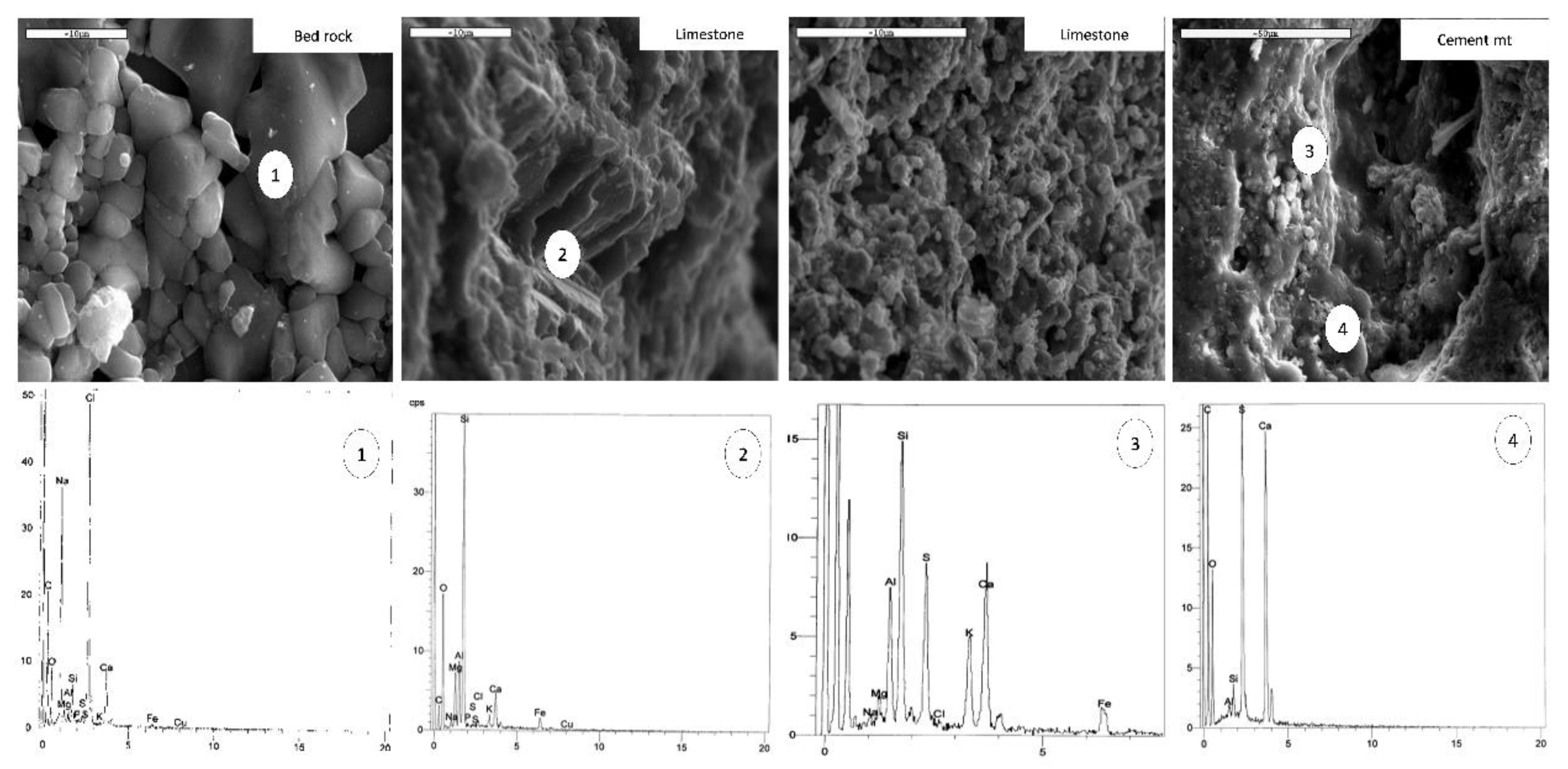 Preprints 105859 g008