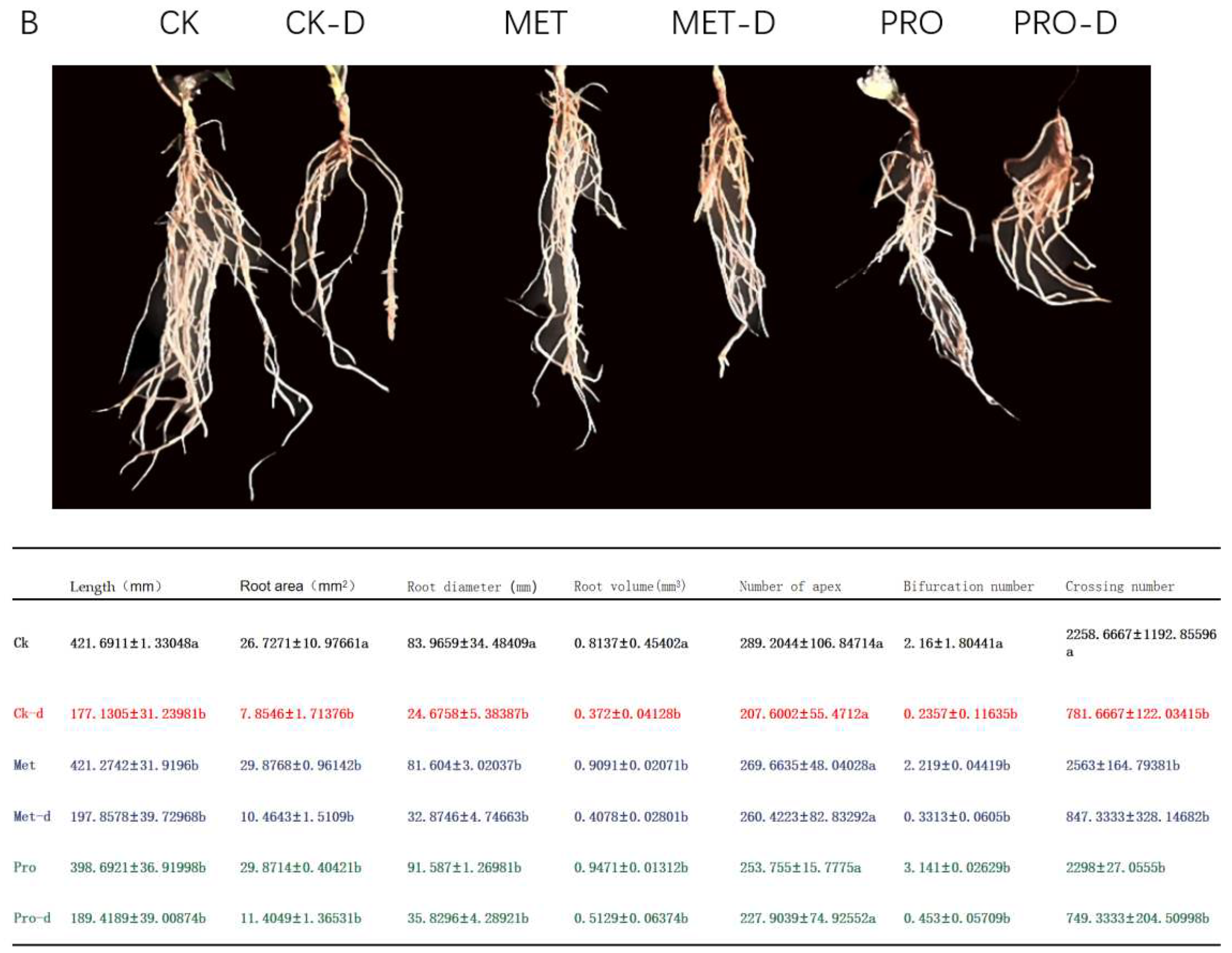 Preprints 92294 g009b