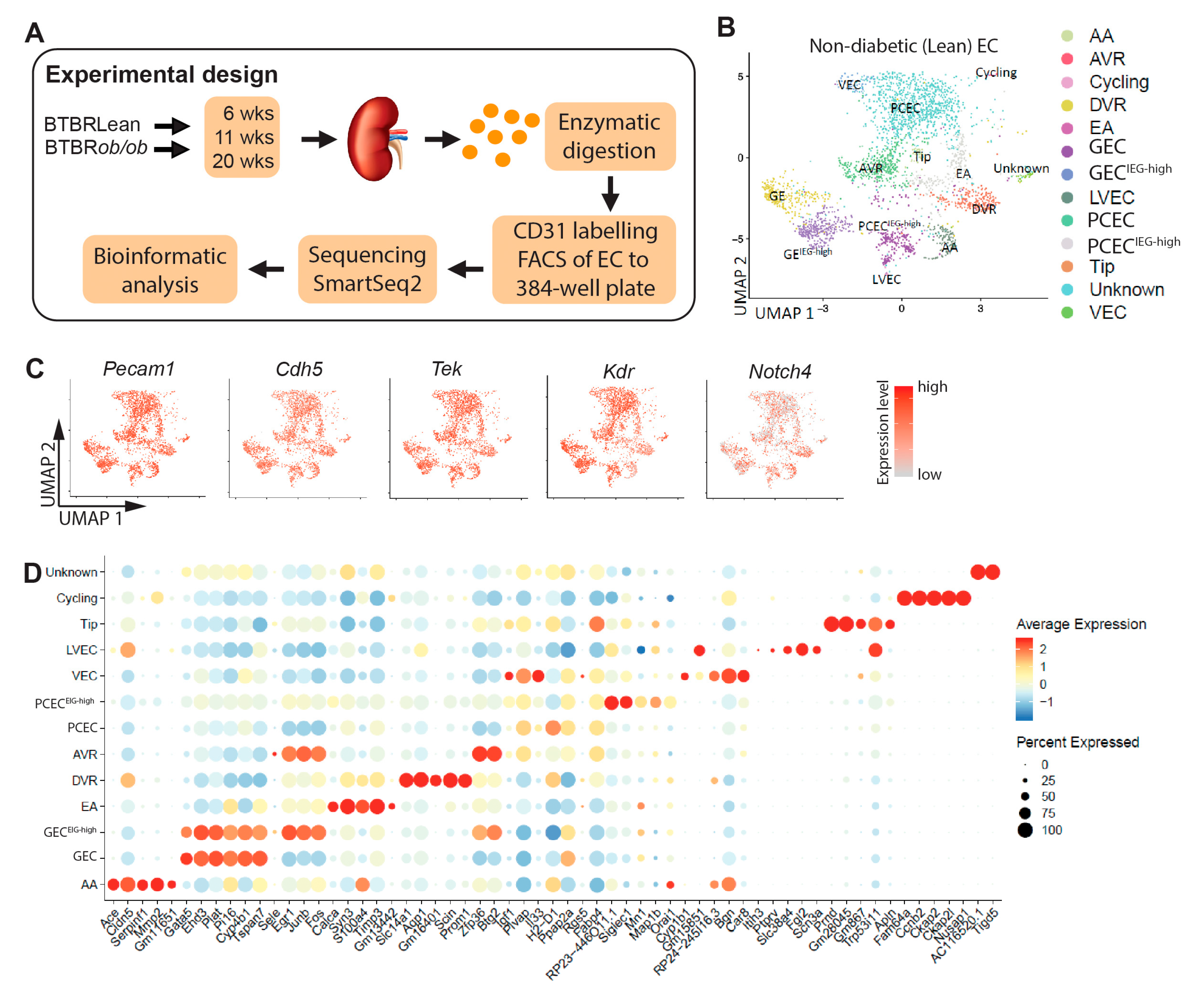 Preprints 102199 g001