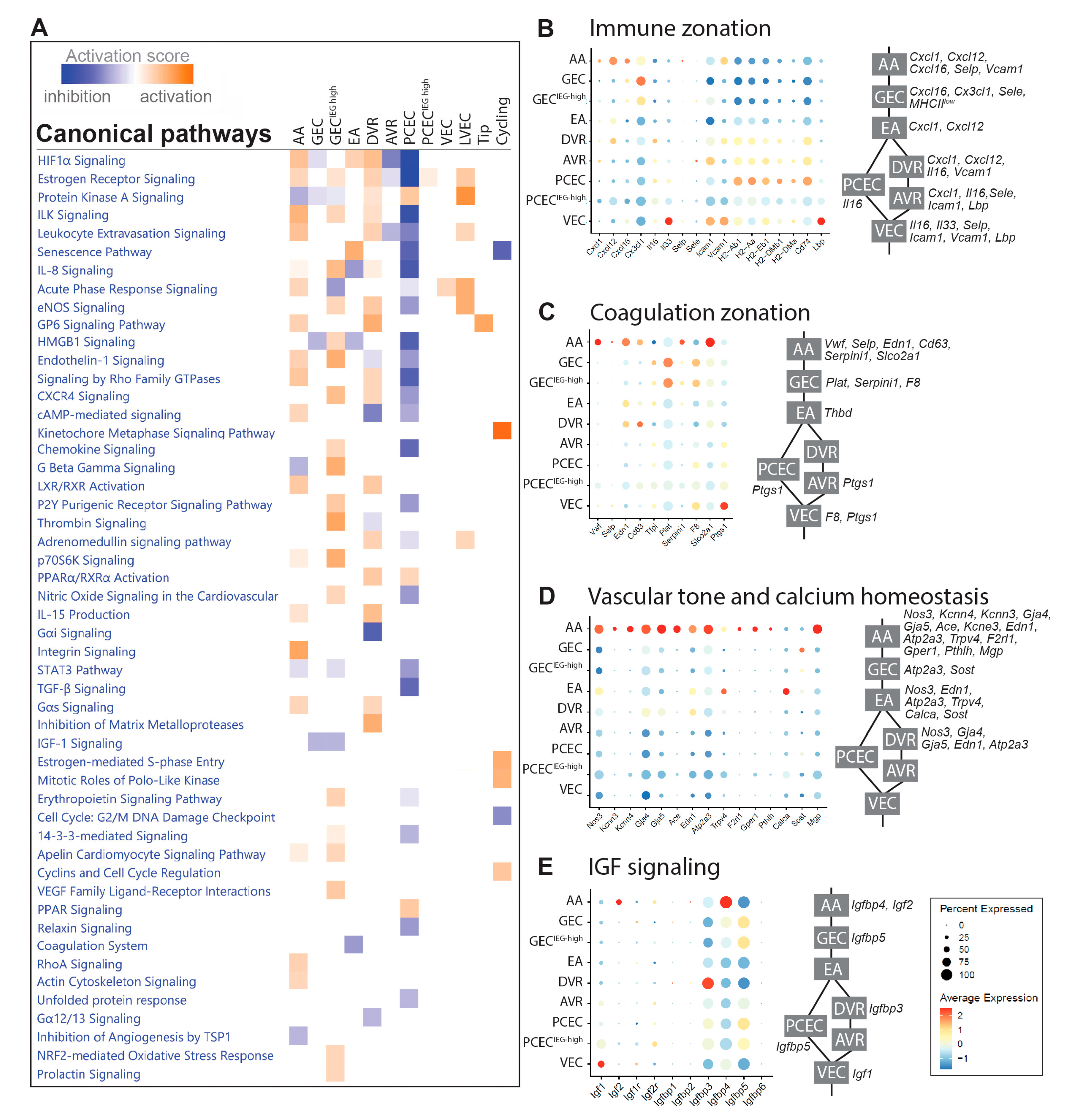 Preprints 102199 g002