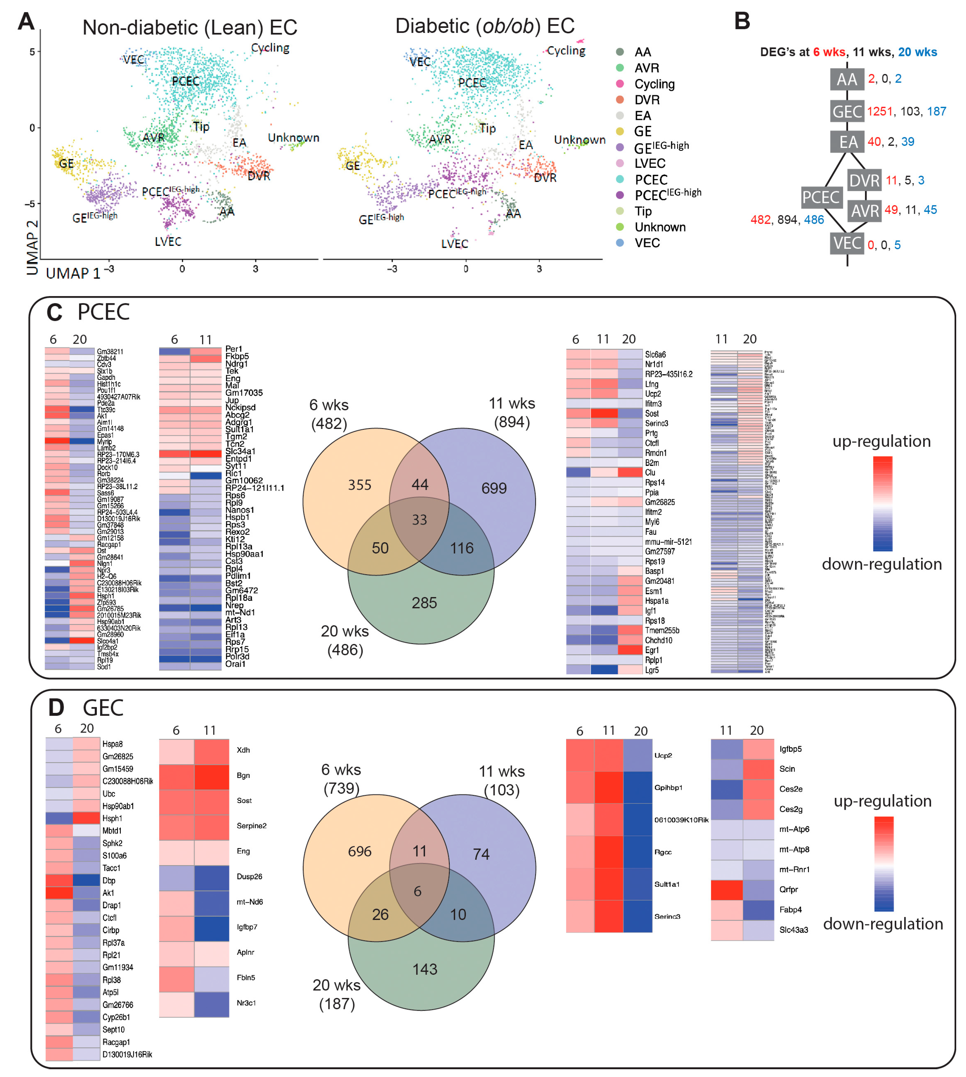 Preprints 102199 g003