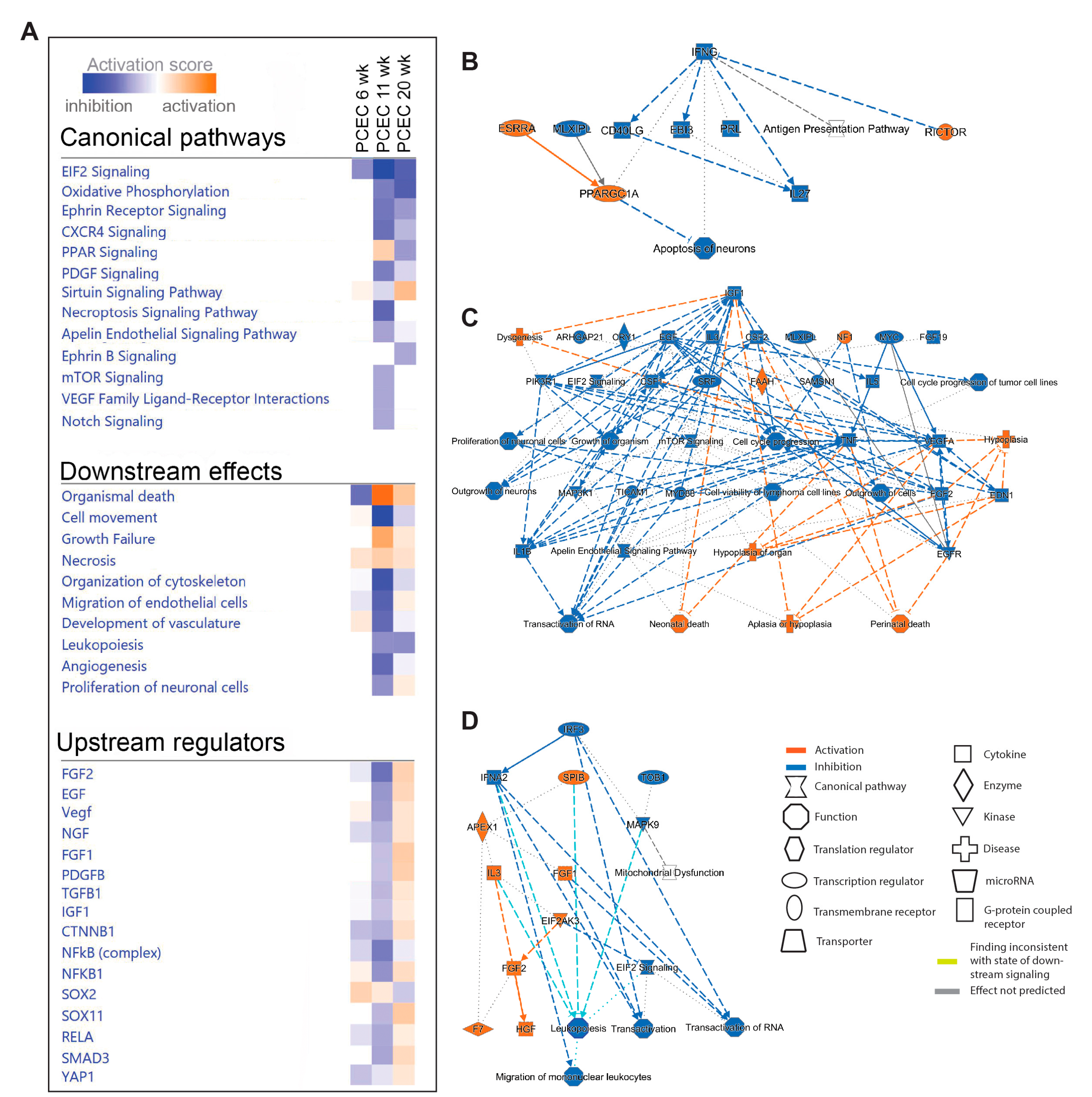 Preprints 102199 g004