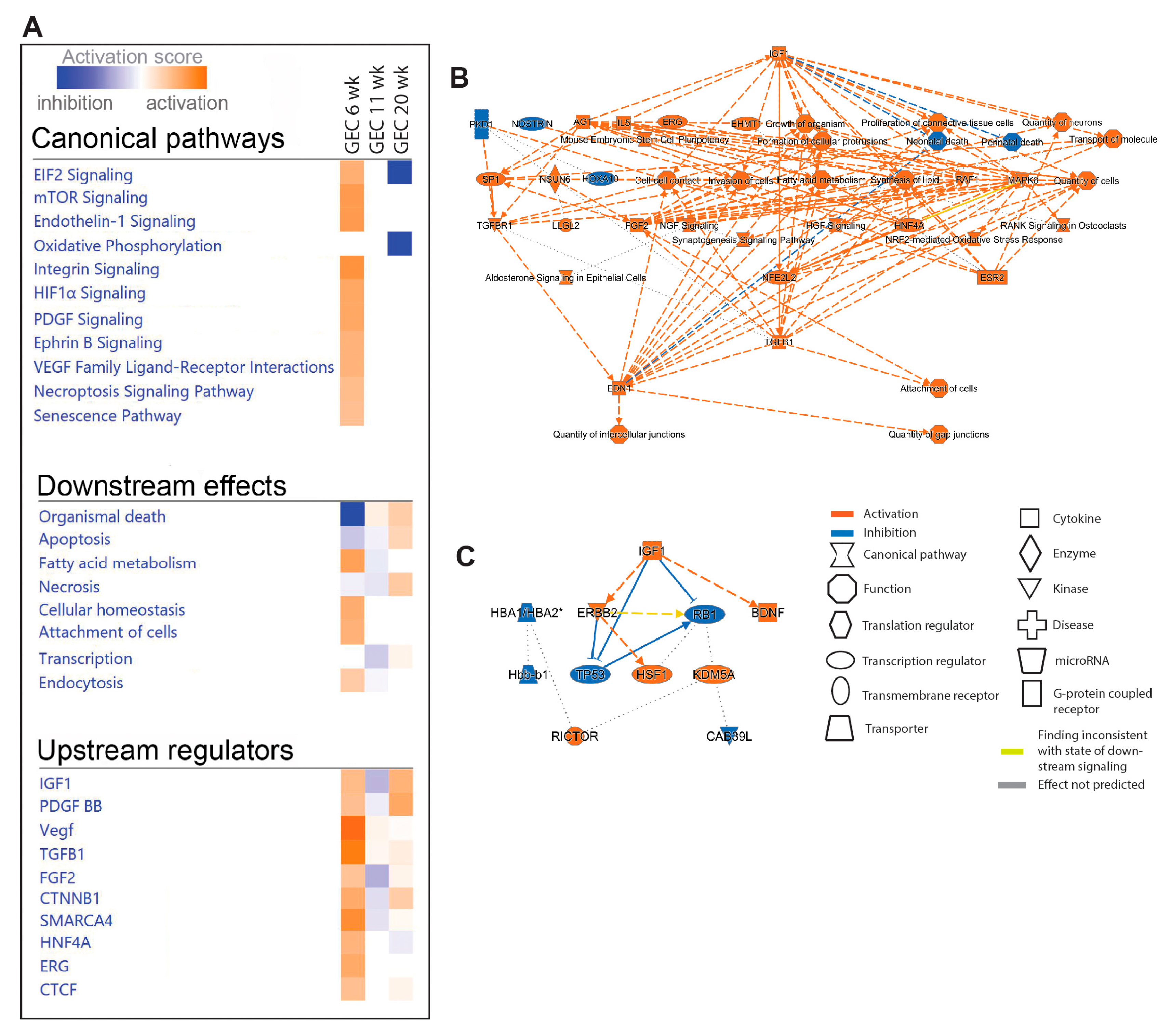 Preprints 102199 g005