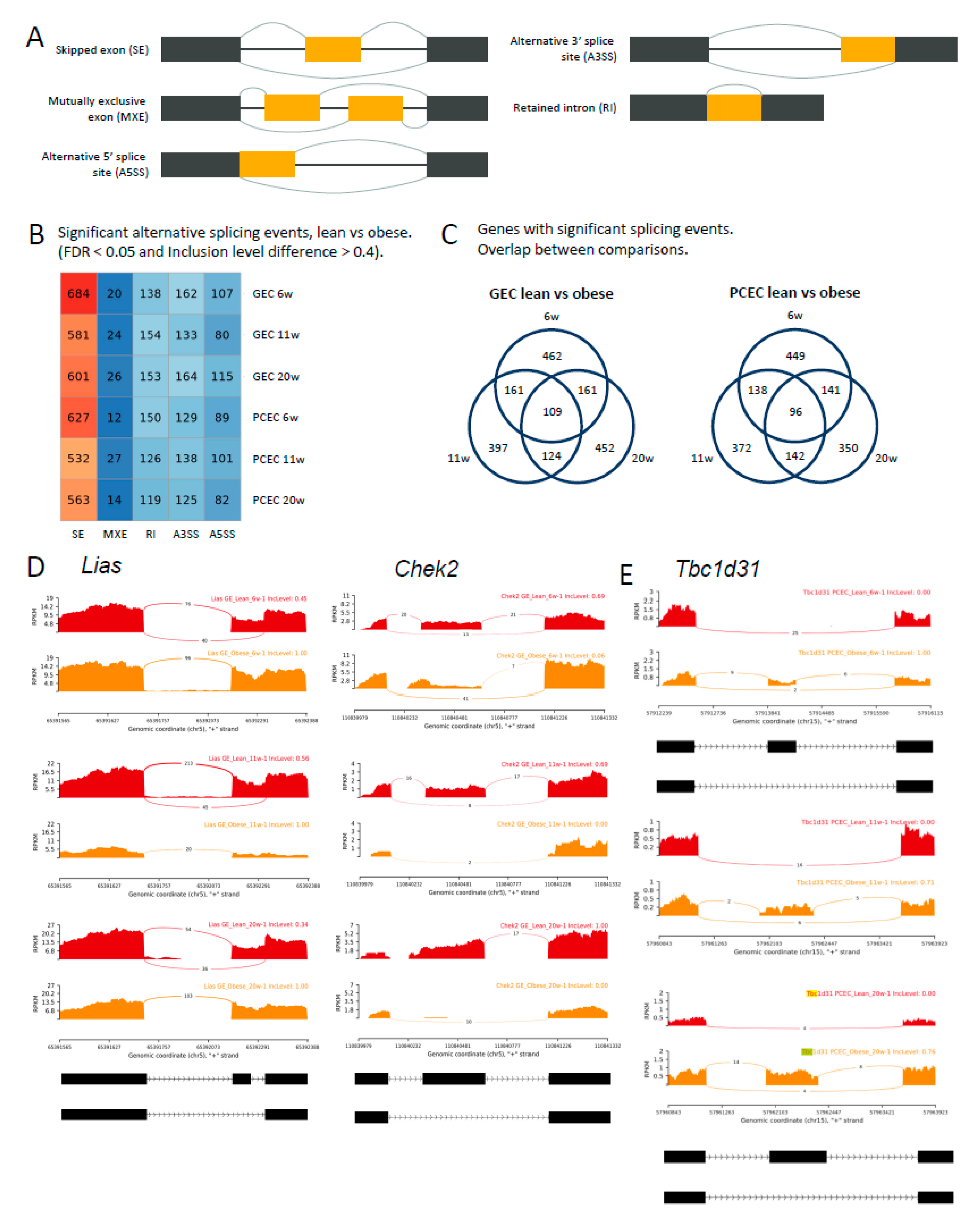 Preprints 102199 g006